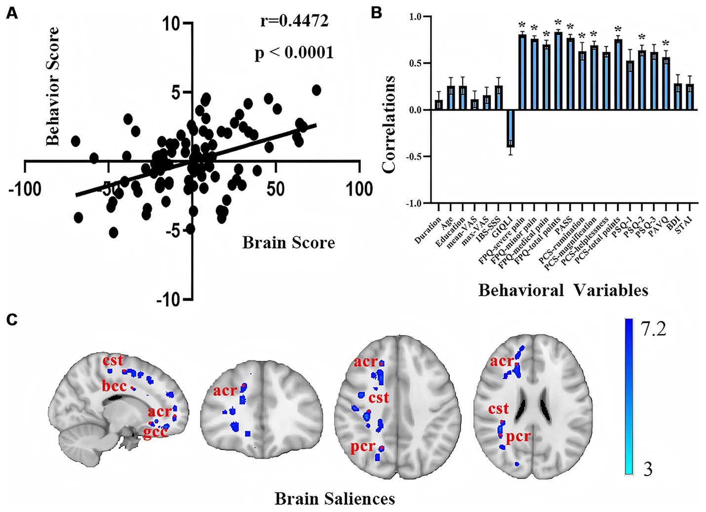 Graph A shows a positive correlation between brain and behavior scores. Graph B displays correlations between various behavioral variables with error bars; values above zero indicate significant correlations. Image C illustrates brain saliences highlighting specific areas in blue, with acronyms like acr, cst, and pcr labeled. A color scale from three to seven point two accompanies the brain scans, denoting intensity.