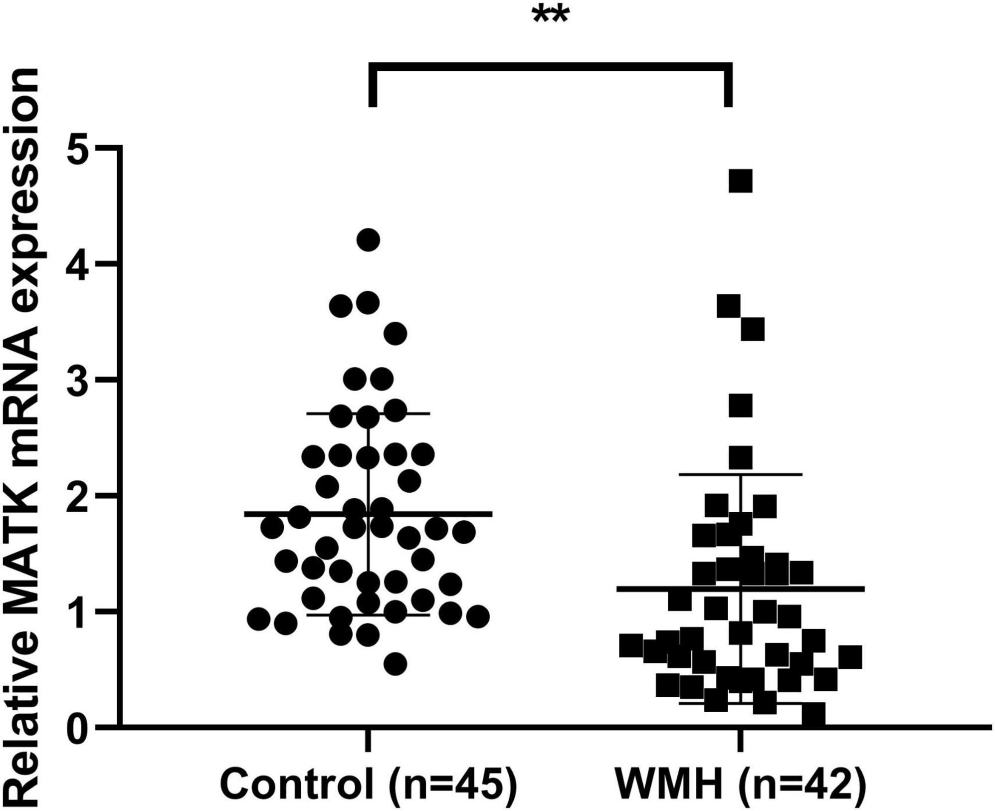 Scatter plot showing relative MATK mRNA expression levels in two groups: Control (n=45) with circles and WMH (n=42) with squares. WMH group appears to have significantly higher expression, indicated by double asterisks above. Horizontal lines represent mean values.