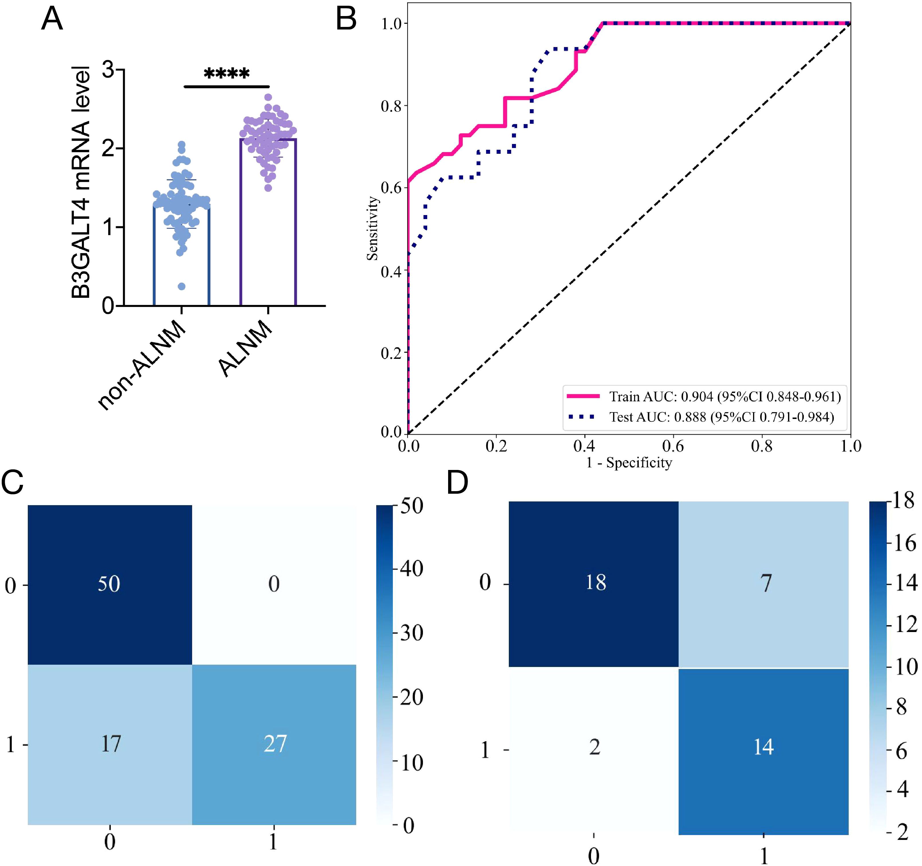 Panel A shows a bar graph comparing B3GALT4 mRNA levels in non-ALNM and ALNM groups, with significantly higher levels in ALNM (indicated by ****). Panel B is an ROC curve with train AUC of 0.904 and test AUC of 0.888, displaying high sensitivity and specificity. Panels C and D are confusion matrices for different datasets, showing true and false positives and negatives, with varying color intensities to represent values.