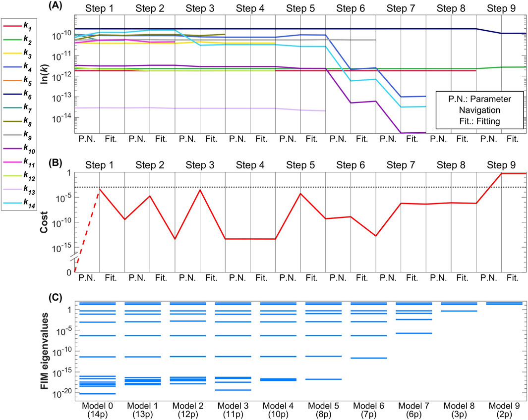 Chart (A) shows logarithmic values of fourteen parameters (\(k_1\) to \(k_{14}\)) over nine reduction steps, with periodic parameter navigation (P.N.) and fitting (Fit). Chart (B) illustrates cost fluctuations of a process across the same steps, with visible peaks and troughs. Chart (C) presents FIM eigenvalues for models with varying parameters, labeled from Model 0 (fourteen parameters) to Model 9 (two parameters), showing distribution of eigenvalues for each model.