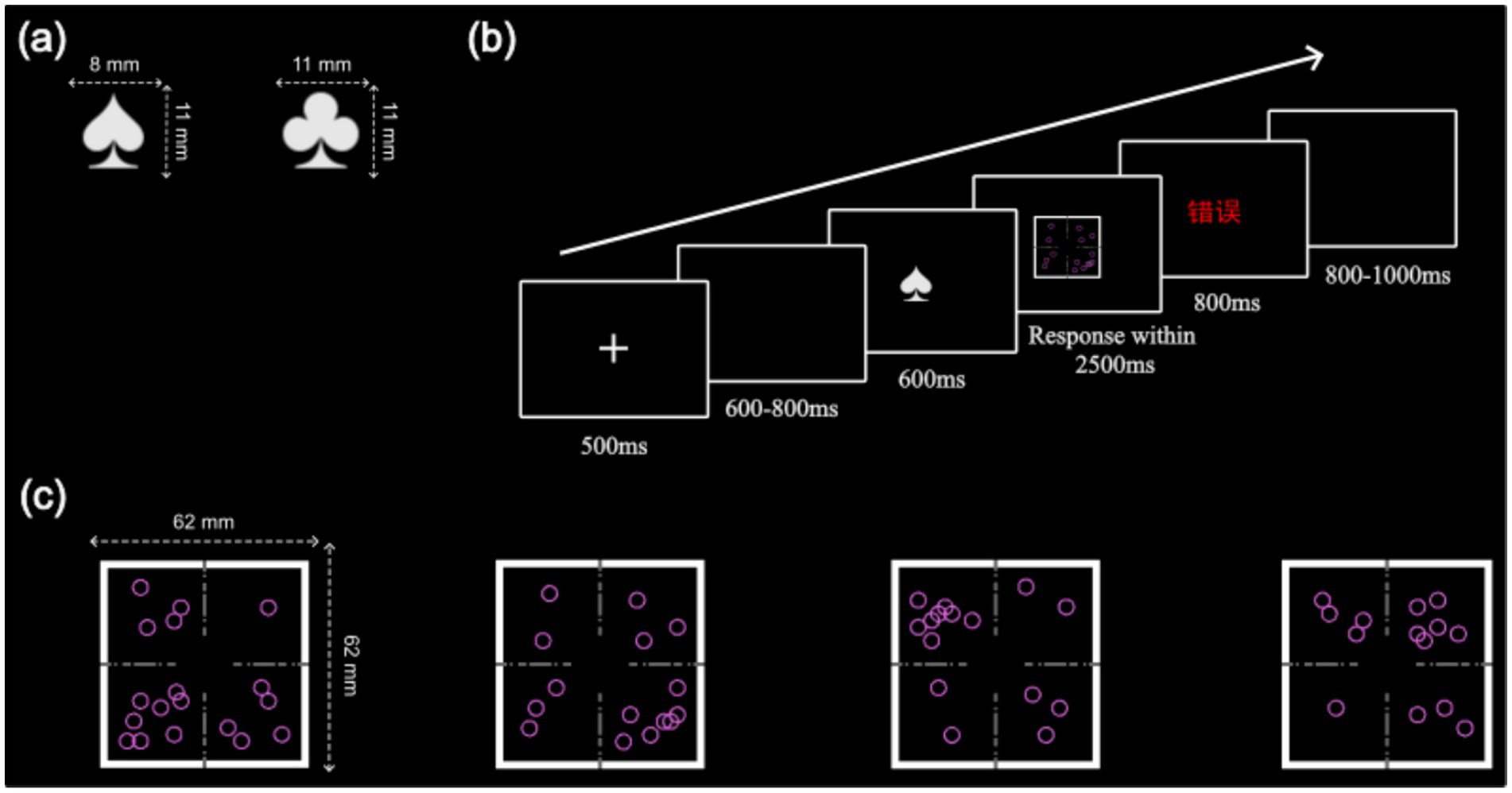 Steps in the sequential cognitive task experiment are shown. (a) Displays symbols of different sizes: a spade and club. (b) Shows the timeline of the task with stimuli presentation, requiring a response within 2500 milliseconds, including a fixation cross, stimulus, and feedback. (c) Shows examples of clustered and dispersed arrangements of purple circles within 62 millimeter squares.