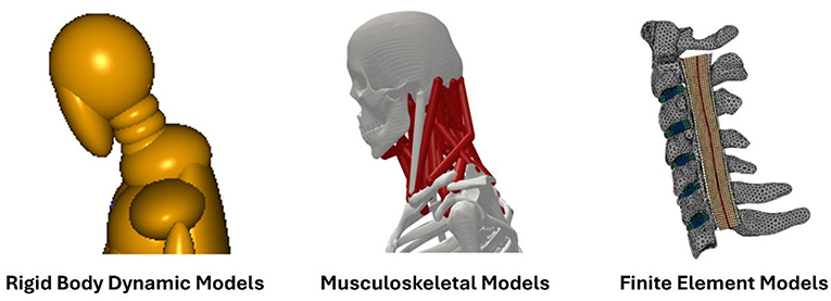 Illustration of three model types: a yellow figure titled "Rigid Body Dynamic Models," a skeletal figure with red muscles labeled "Musculoskeletal Models," and a segmented spine titled "Finite Element Models."