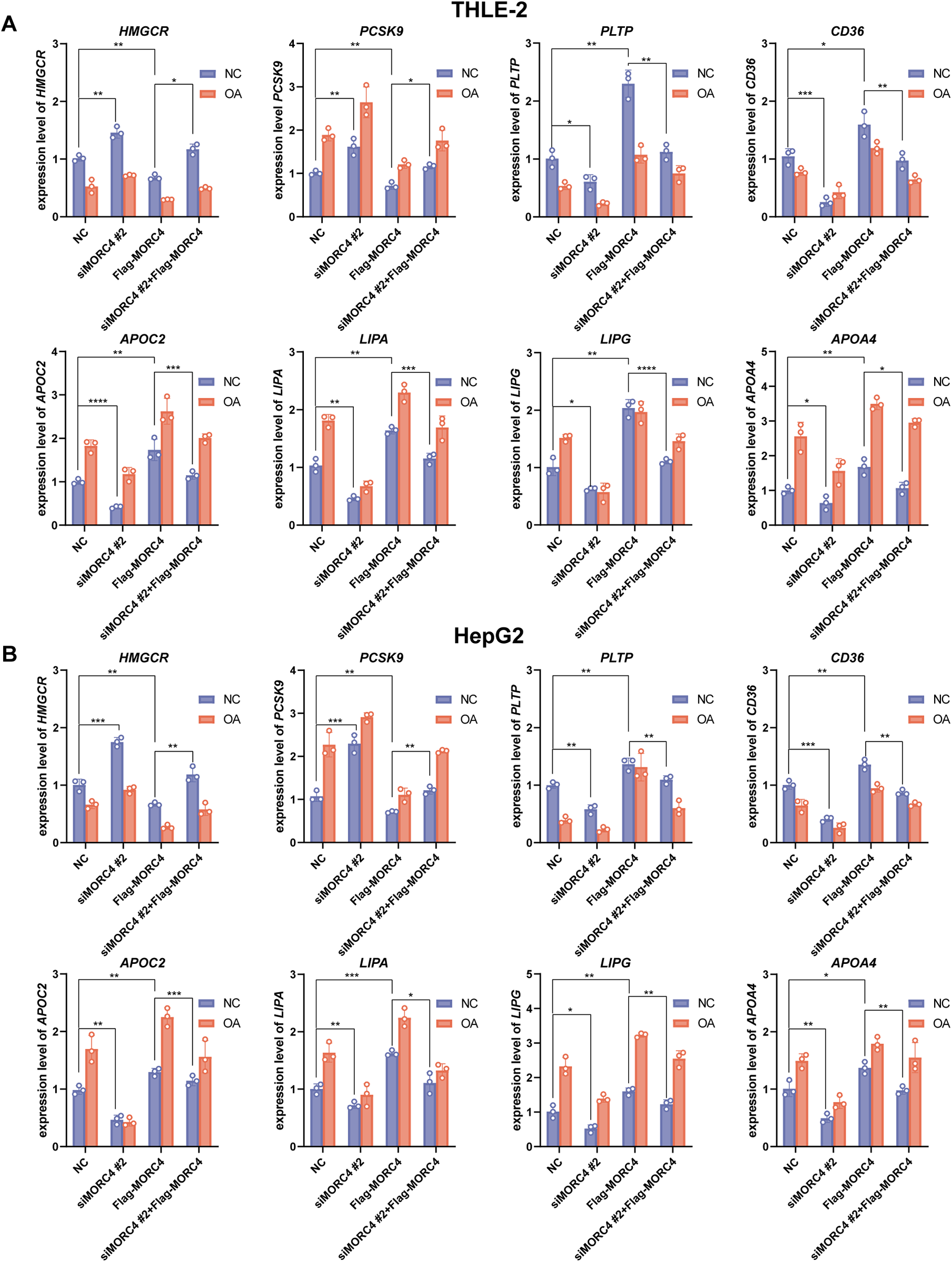 Bar graphs showing gene expression levels under different conditions in THLE-2 and HepG2 cells. Each panel represents a specific gene, such as HMGCR, PCSK9, PLTP, CD36, APOC2, LIPA, LIPG, and APOA4. Blue bars indicate NC (negative control), and orange bars indicate OA (treated with oleic acid). Data points and significance levels are indicated.