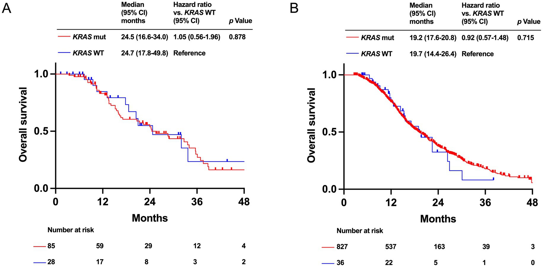 Kaplan-Meier survival curves showing overall survival for KRAS mutated (red) and KRAS wild type (blue) groups. Panel A has medians: KRAS mut 24.5 months, WT 24.7 months, hazard ratio 1.05, p=0.878. Panel B shows medians: KRAS mut 19.2 months, WT 19.7 months, hazard ratio 0.92, p=0.715.