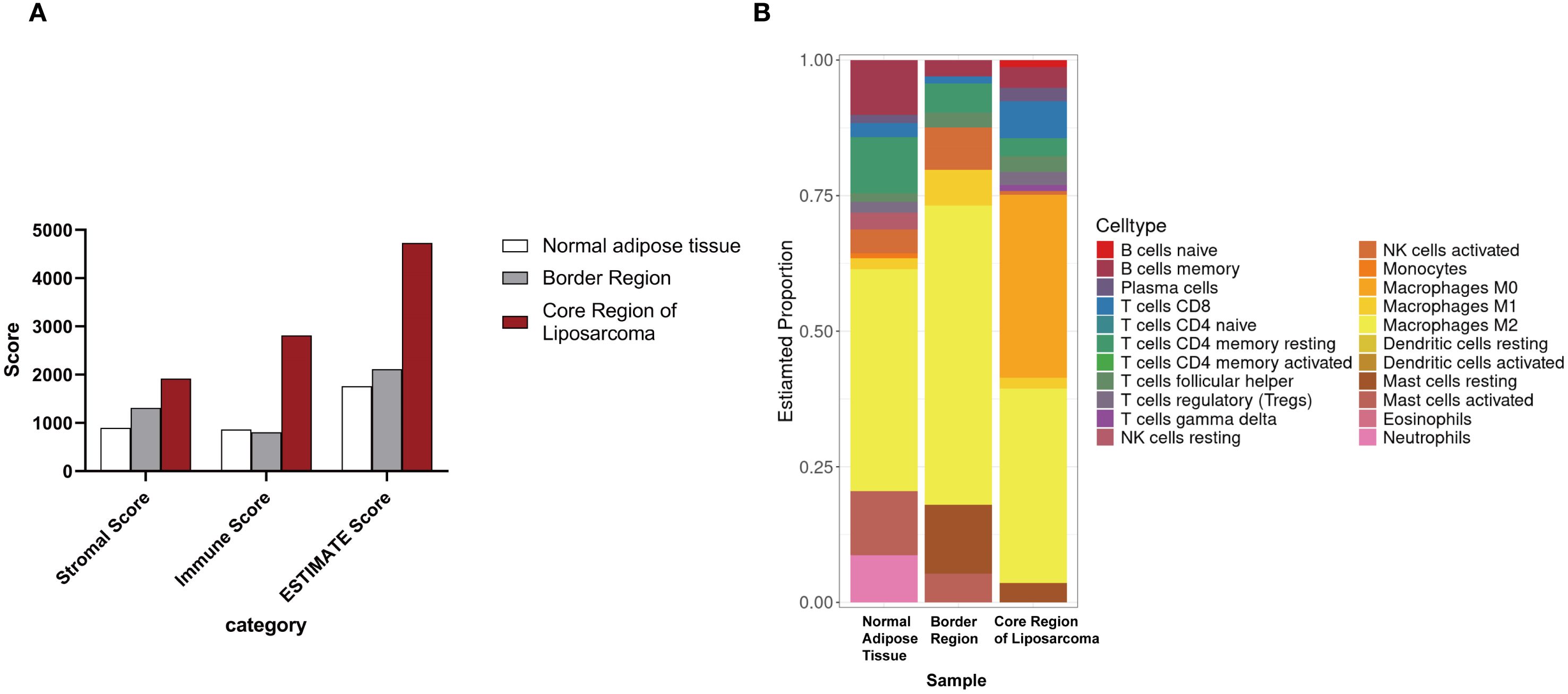 Panel A shows a bar graph comparing Stromal, Immune, and ESTIMATE Scores across Normal Adipose Tissue, Border Region, and Core Region of Liposarcoma, with the highest scores in the Core Region. Panel B is a stacked bar chart illustrating the estimated proportion of various cell types, including T cells, B cells, and macrophages, in Normal Adipose Tissue, the Border Region, and the Core Region of Liposarcoma, highlighting differences in immune cell composition.