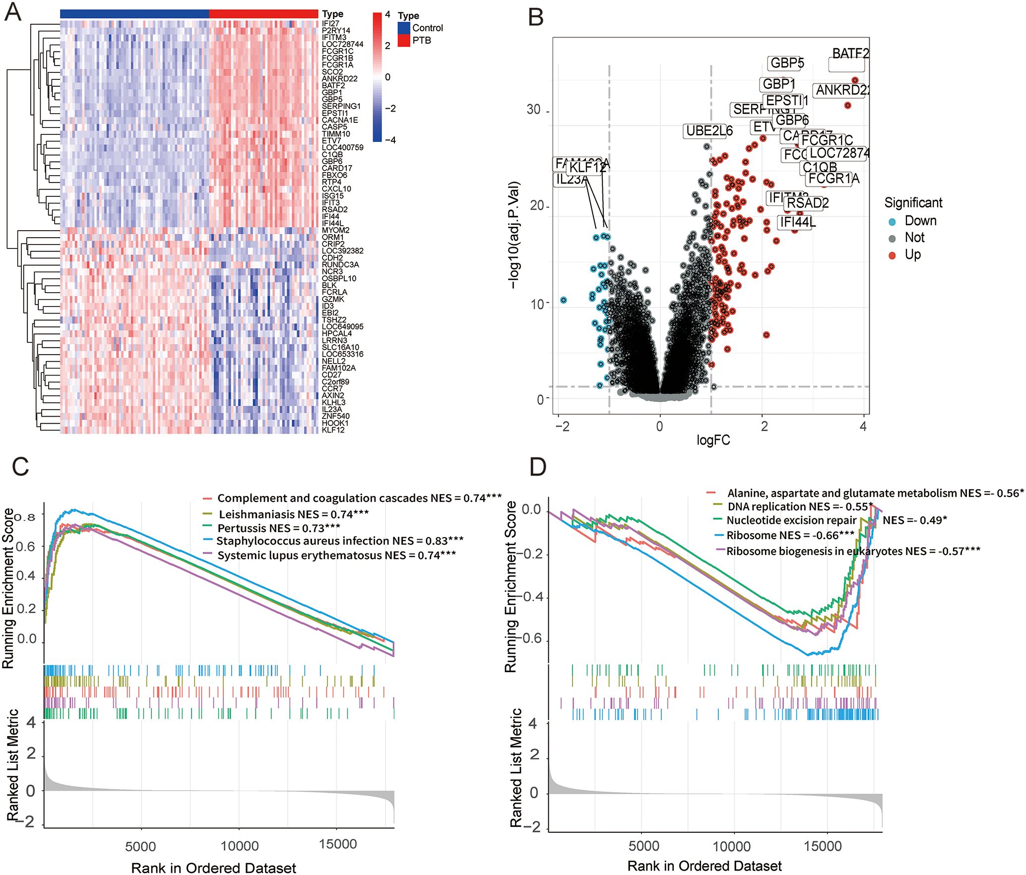 Panel A shows a heatmap of gene expression with clustering for control and PTB groups. Panel B displays a volcano plot highlighting significant upregulated and downregulated genes. Panel C illustrates enrichment plots for pathways with positive NES scores, including complement and coagulation cascades. Panel D presents enrichment plots for pathways with negative NES scores, such as alanine, aspartate, and glutamate metabolism.
