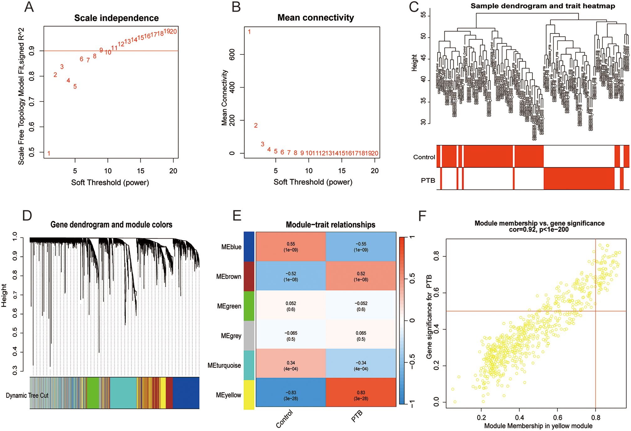 A complex data visualization consisting of six panels: A: A graph showing scale independence with a line chart depicting the scale-free topology model fit against soft threshold power. B: A graph of mean connectivity versus soft threshold power with an exponentially decreasing trend. C: A sample dendrogram with a trait heatmap for control and PTB groups, illustrating clustering. D: A gene dendrogram with module colors indicating clusters and dynamic tree cuts below. E: A heatmap of module-trait relationships, displaying correlation values between modules and traits. F: A scatter plot showing the relationship between module membership and gene significance for PTB, with a positive correlation line.