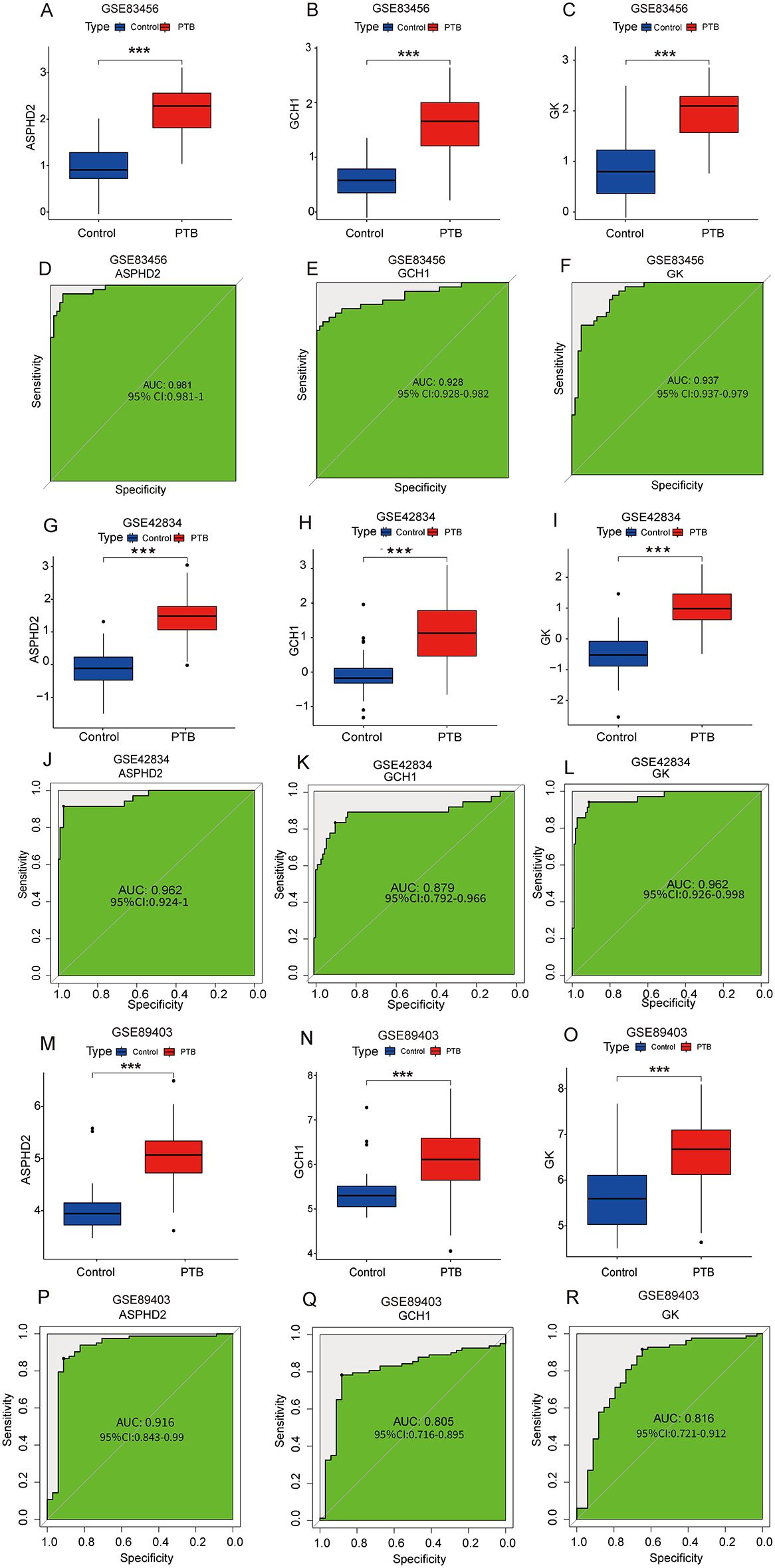Nine panels display box plots and ROC curves comparing gene expression between control and PTB groups. Panels A-C, G-I, M-O show box plots for genes ASPHD2, GCH1, and GK in datasets GSE83456, GSE42834, and GSE89403. Panels D-F, J-L, P-R display ROC curves with AUC values ranging from 0.805 to 0.981, indicating the discriminatory power of these genes between the groups. Significant differences are marked by asterisks.