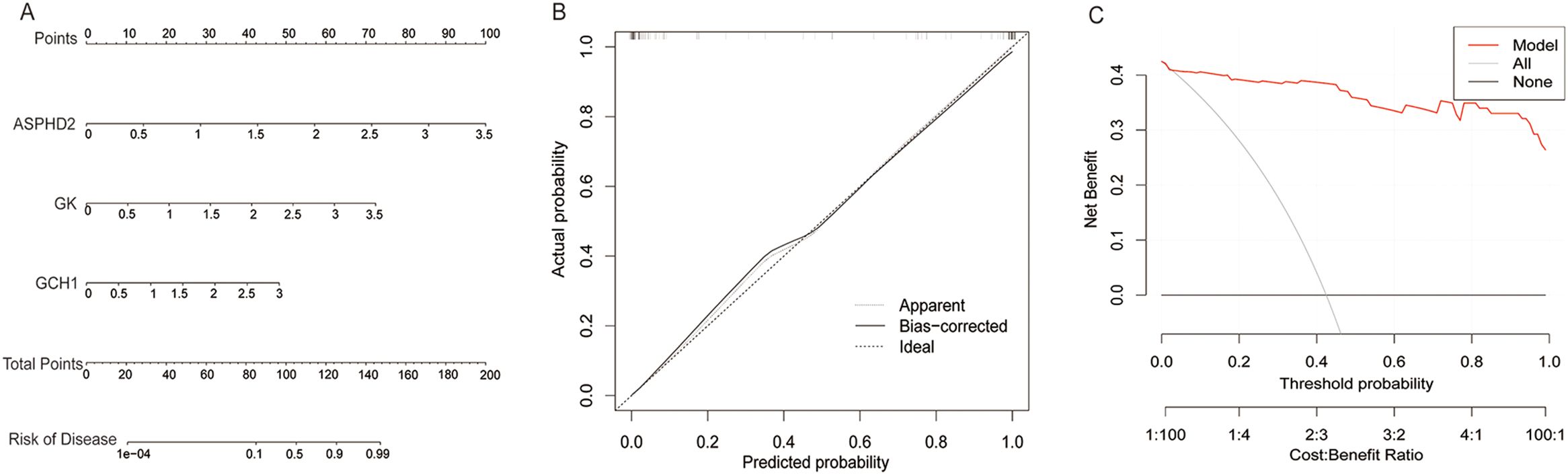 Panel A presents a nomogram with scoring lines for ASPHD2, GK, GCH1, and total points to assess disease risk. Panel B shows a calibration plot comparing predicted probability with actual probability, displaying apparent, bias-corrected, and ideal lines. Panel C illustrates a decision curve analysis showing net benefit versus threshold probability, with model, all, and none strategies represented.