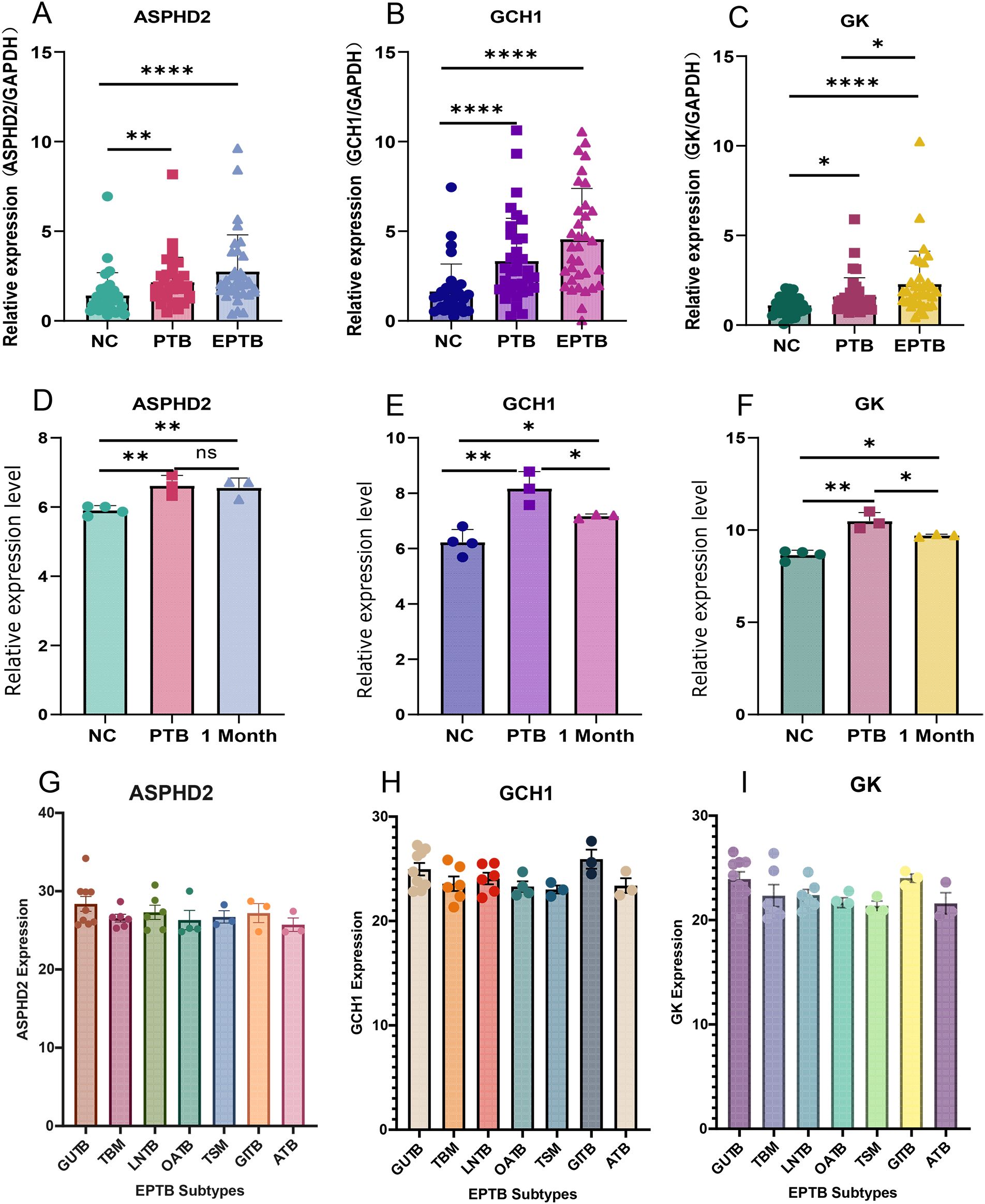 Charts display the relative expression levels of ASPHD2, GCH1, and GK genes. Panels A-C show NC, PTB, and EPTB groups with statistical significance indicated. Panels D-F compare NC, PTB, and 1 Month expressions. Panels G-I detail expression across EPTB subtypes: GUTB, TBM, LNTB, OATB, TBM, GITB, ATB. Statistical differences are marked with asterisks.