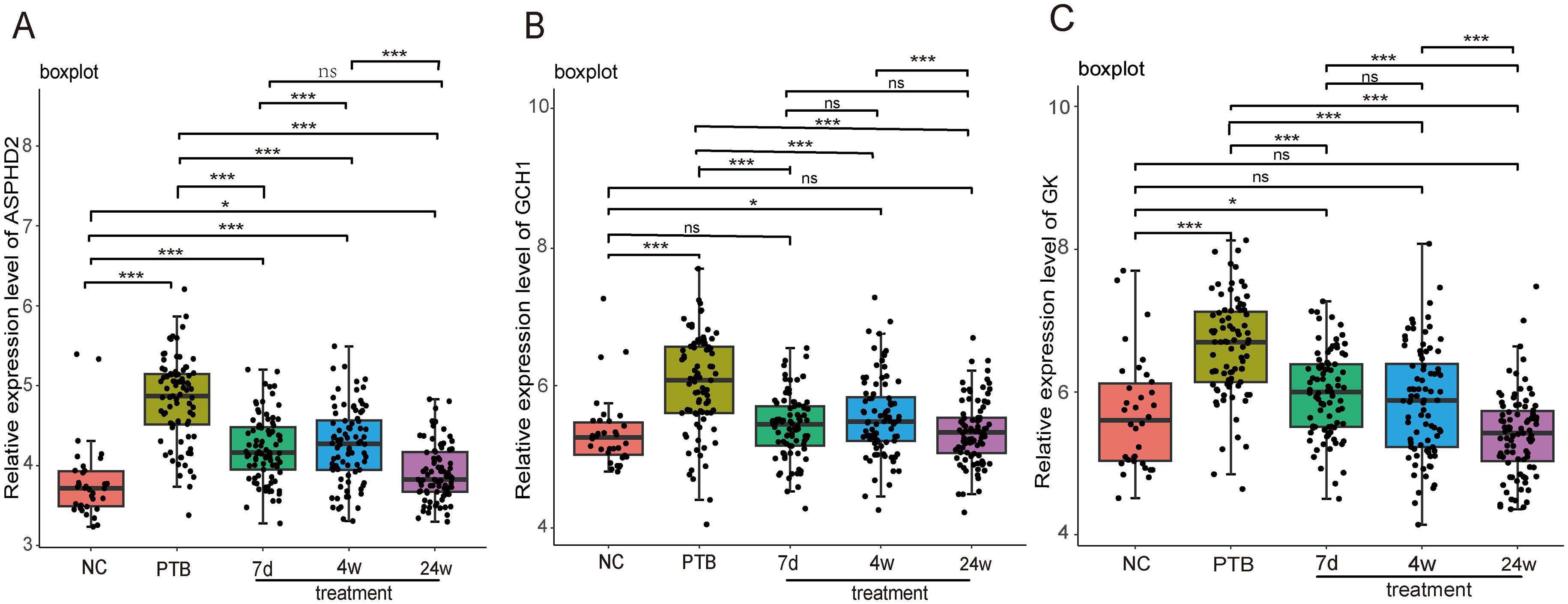 Boxplots labeled A, B, and C show the distribution of ASHPD2, GCH1, and GK levels across five groups: NC, PTB, and treatments at 7 days, 4 weeks, and 24 weeks. P-values indicate statistical comparisons between groups, with dots representing individual data points.