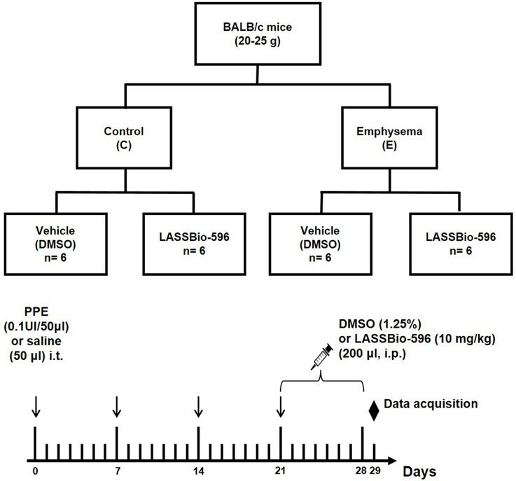 Emphysema Chart