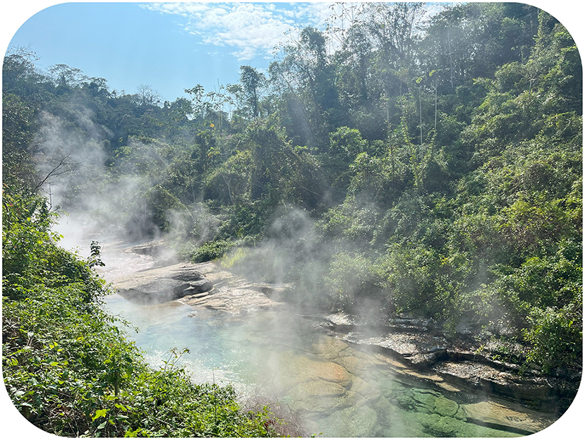 Steam rises from a Peru's Boiling River.  The river is surrounded by dense, lush greenery and forest. The scene is illuminated by sunlight filtering through a partly cloudy sky, creating a serene and natural atmosphere.