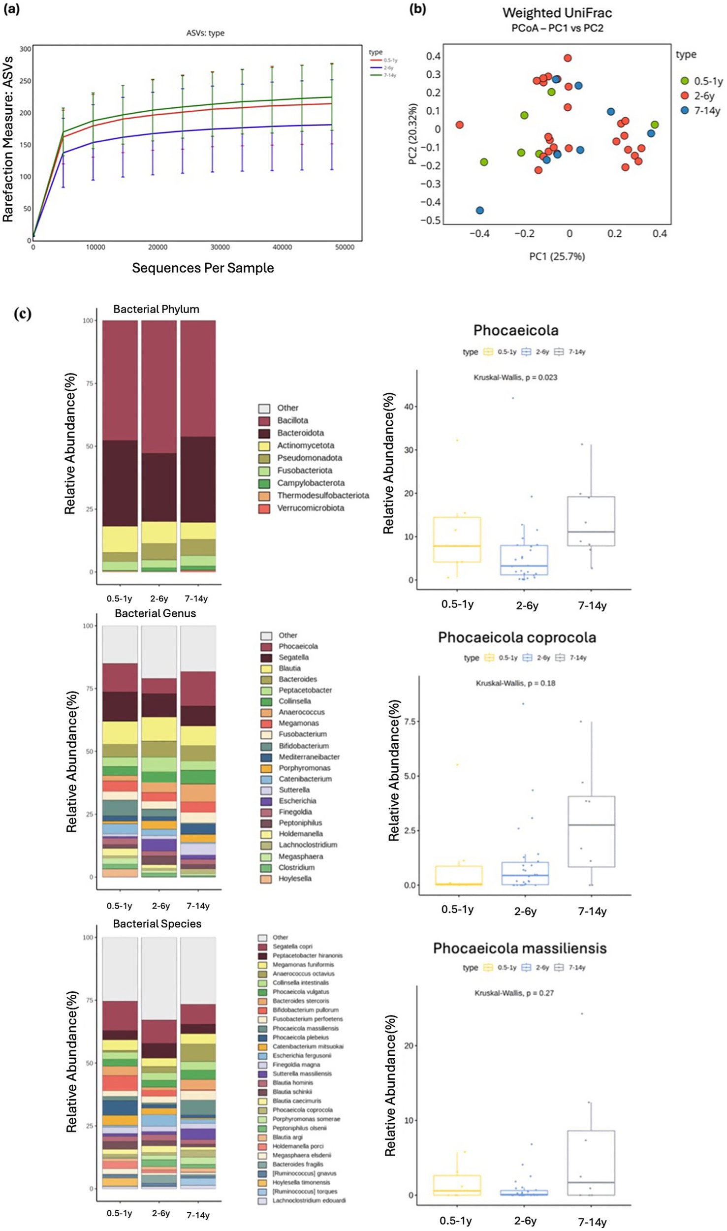 Panel (a) shows a line graph of rarefaction measures for ASVs across age groups (0.5-1y, 2-6y, 7-14y). Panel (b) features a weighted UniFrac PCoA plot with different colored dots representing age groups. Panel (c) presents bar graphs of bacterial phylum, genus, and species abundance by age group alongside box plots for Phocaeicola data, showing statistical analysis results.