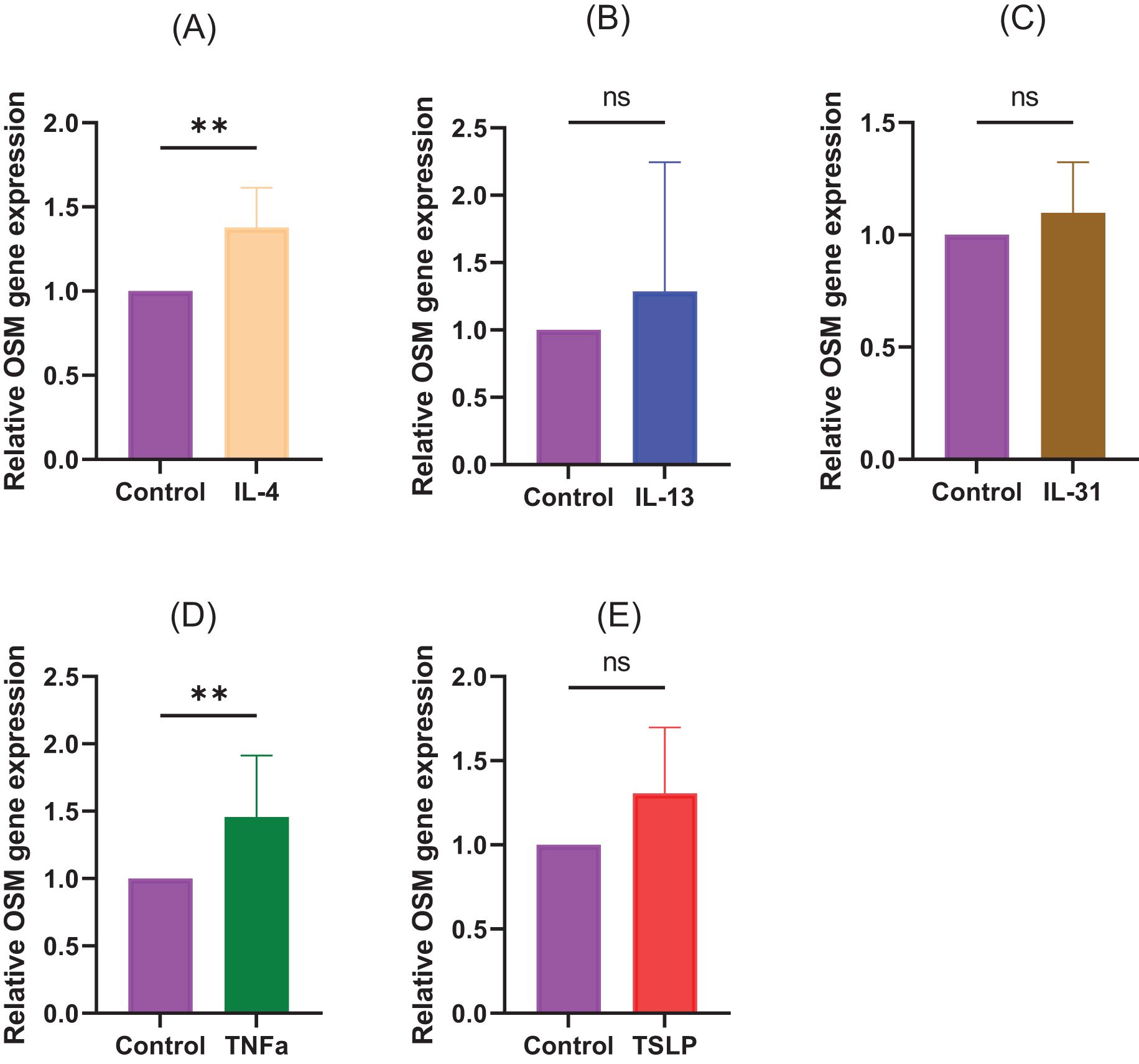 Bar graphs labeled A to E show the relative OSM gene expression for different cytokines. Graphs A and D demonstrate significant increases in expression with IL-4 and TNFα, indicated by double asterisks (**). Graphs B, C, and E show non-significant differences (ns) with IL-13, IL-31, and TSLP. Control groups are consistent across all graphs.