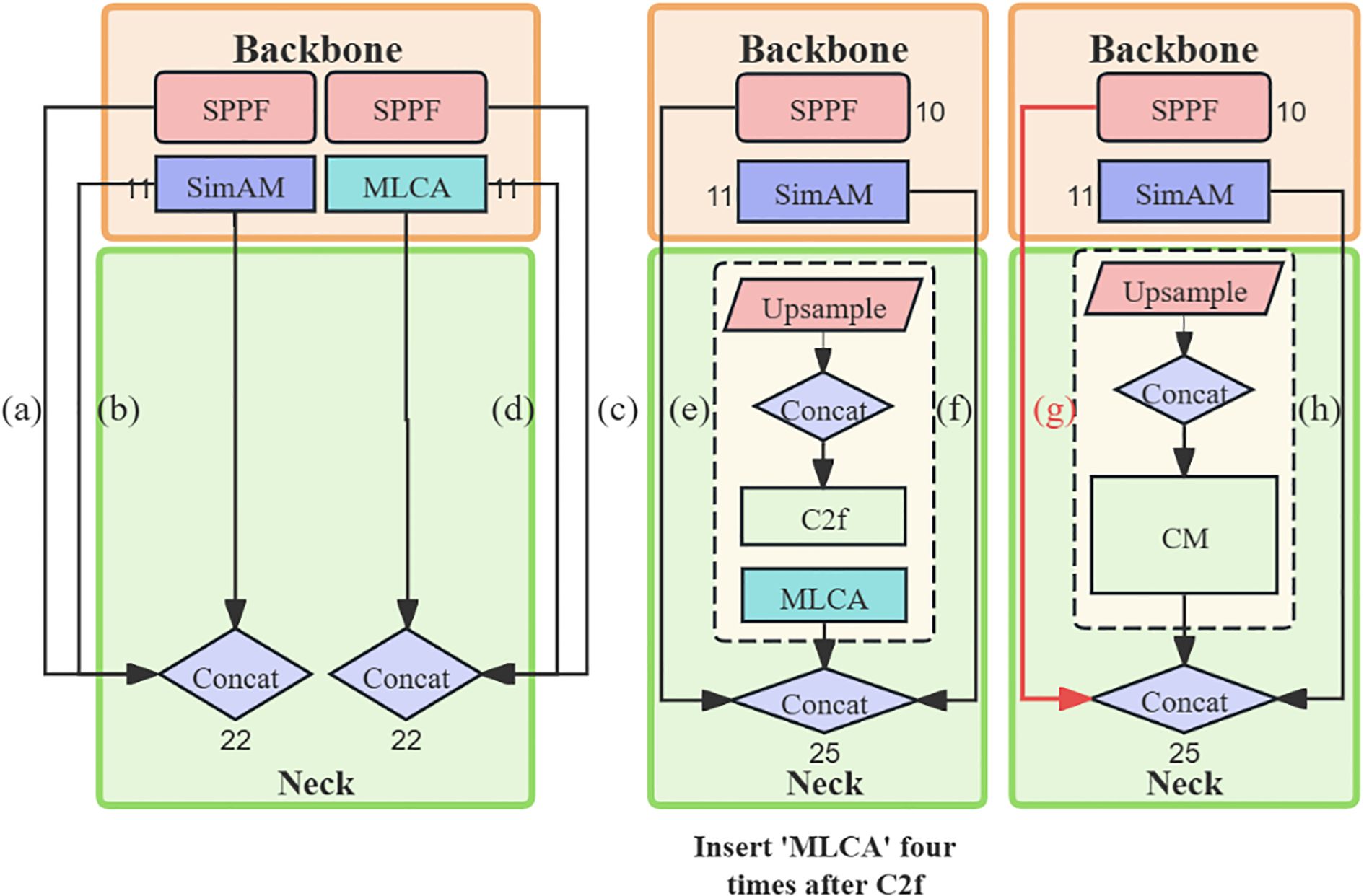 Flowchart of a neural network architecture featuring three stages. Each stage has a “Backbone” section on top with components labeled “SPPF” and “SimAM” or “MLCA.” The “Neck” section includes processes called “Concat,” which lead to final output at “Neck.” Arrows indicate the flow of operations, including “Upsample,” “C2f,” and “CM.” A note at the bottom advises inserting “MLCA” four times after “C2f.” Sections are labeled (a) through (h) for clarity.