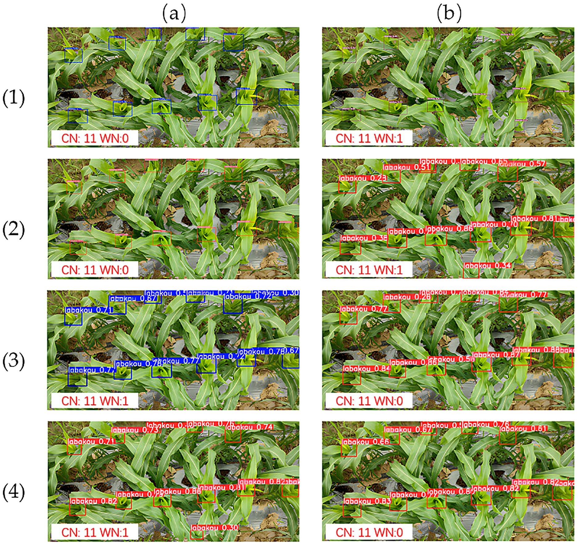 Two sets of images labeled (a) and (b) show green plants with bounding boxes and annotations. The panels (1) to (4) illustrate plant detection differences using different settings, with counts and detections in various colors. Each panel is marked with “CN: 11” and either “WN: 0” or “WN: 1” to indicate variations in detection results.