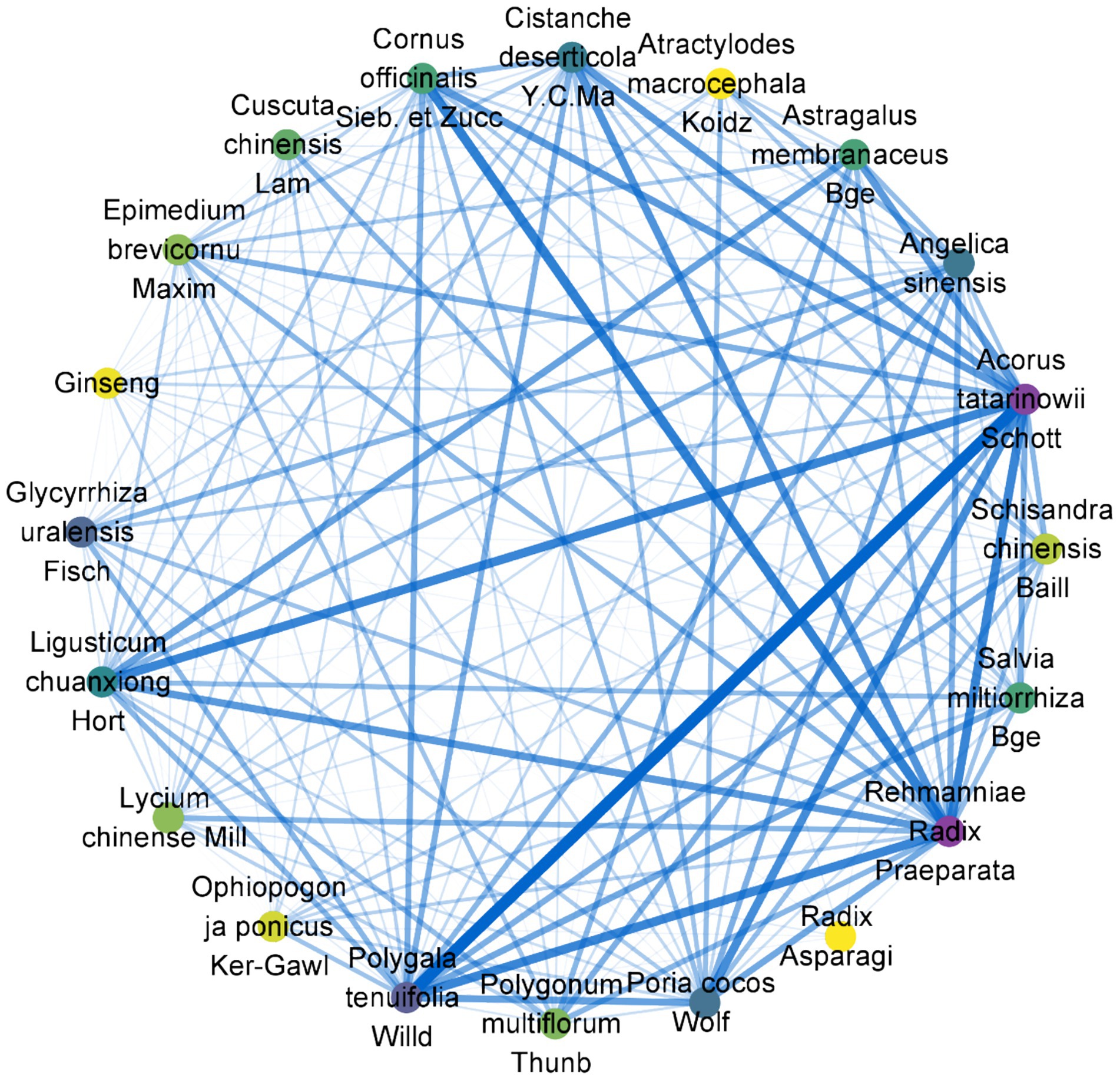 Network diagram depicting connections among various plant species, labeled with their scientific names. Lines varying in thickness represent the strength of connections. Species include Cornus officinalis, Ginseng, and Astragalus membranaceus, among others. Nodes are color-coded, suggesting different categories or functions.
