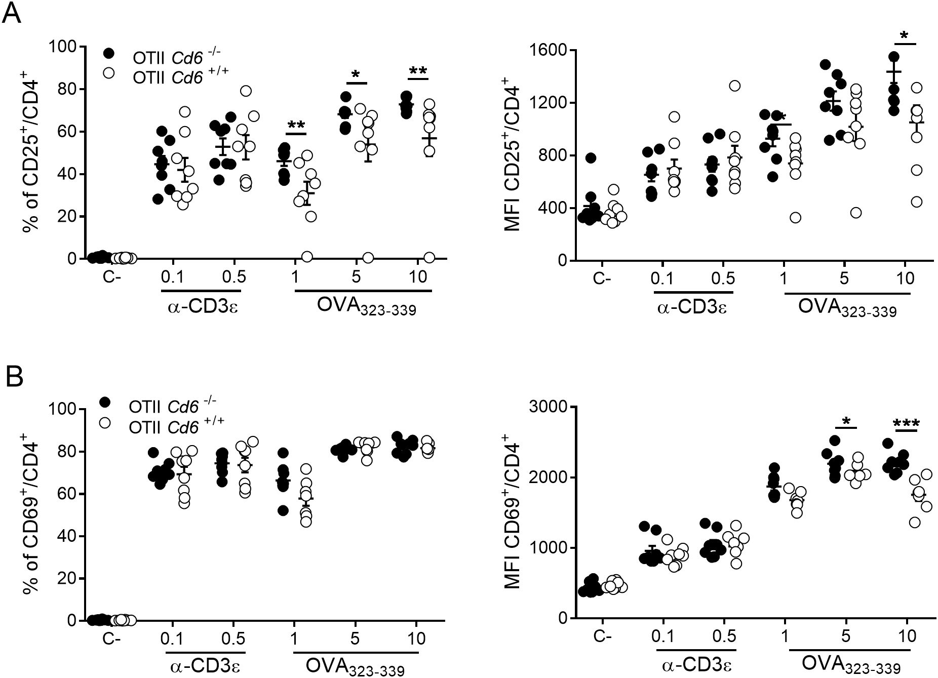 Two sets of scatter plots titled “A” and “B” compare OTII cells with C\(^d6\)-/\- and C\(^d6\)+/+ genotypes. Graph A depicts the percentage and mean fluorescence intensity (MFI) of CD25\(^+\)/CD4\(^+\) cells, while graph B shows these metrics for CD69\(^+\)/CD4\(^+\) cells. Both plots present data across conditions using \(\alpha\)-CD3\(\varepsilon\) and OVA\(_{323-339}\) stimuli. Variations in activation are indicated by asterisks, denoting significance levels.