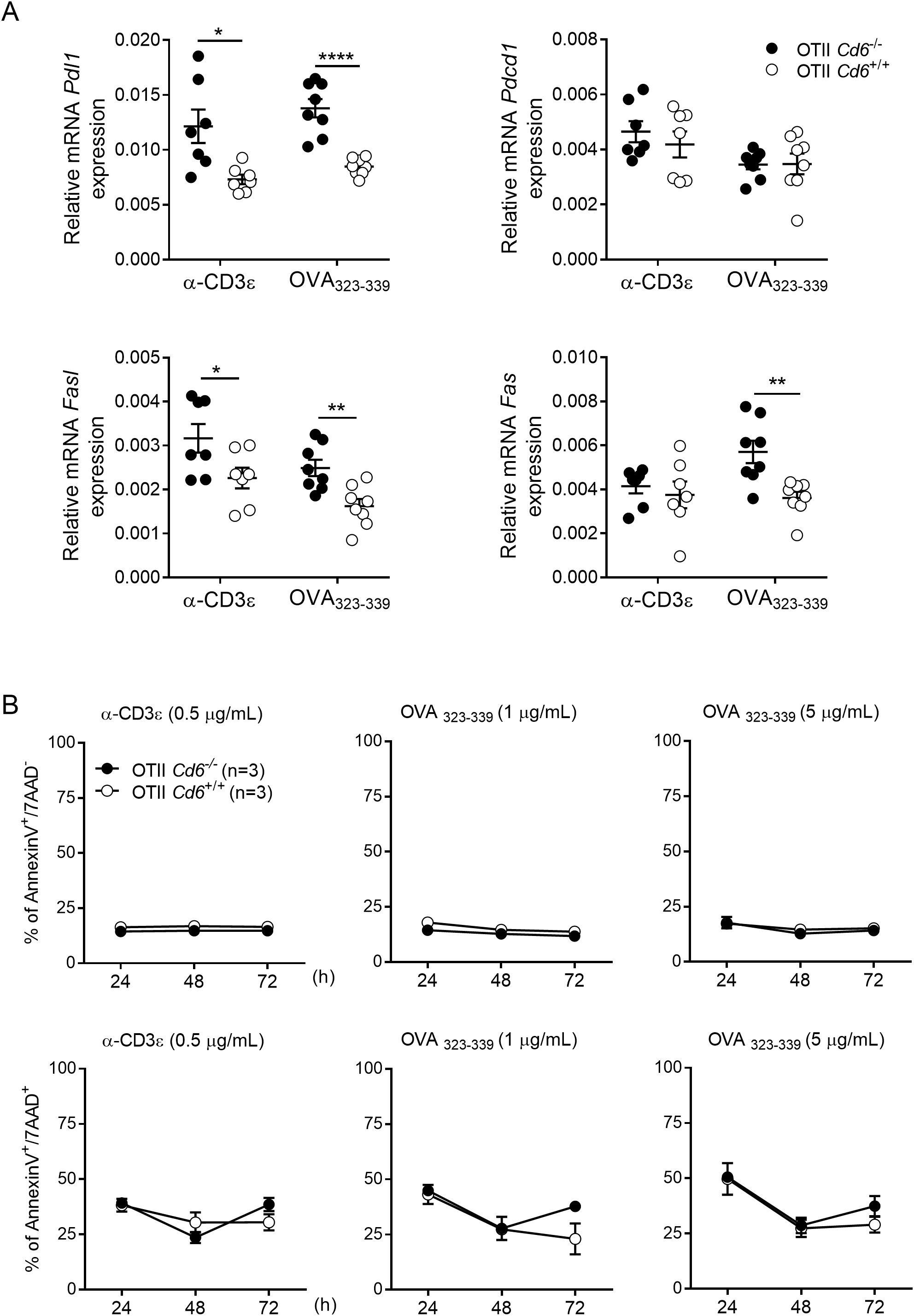 Graphs display relative mRNA expression and Annexin V/TAAD percentages. Figure A shows Pdl1, Pdcd1, Fasl, and Fas expression with significant differences marked. Figure B displays Annexin V/TAAD percentages over time for OTII Cd6^-/- and OTII Cd6^+/+ under different conditions.