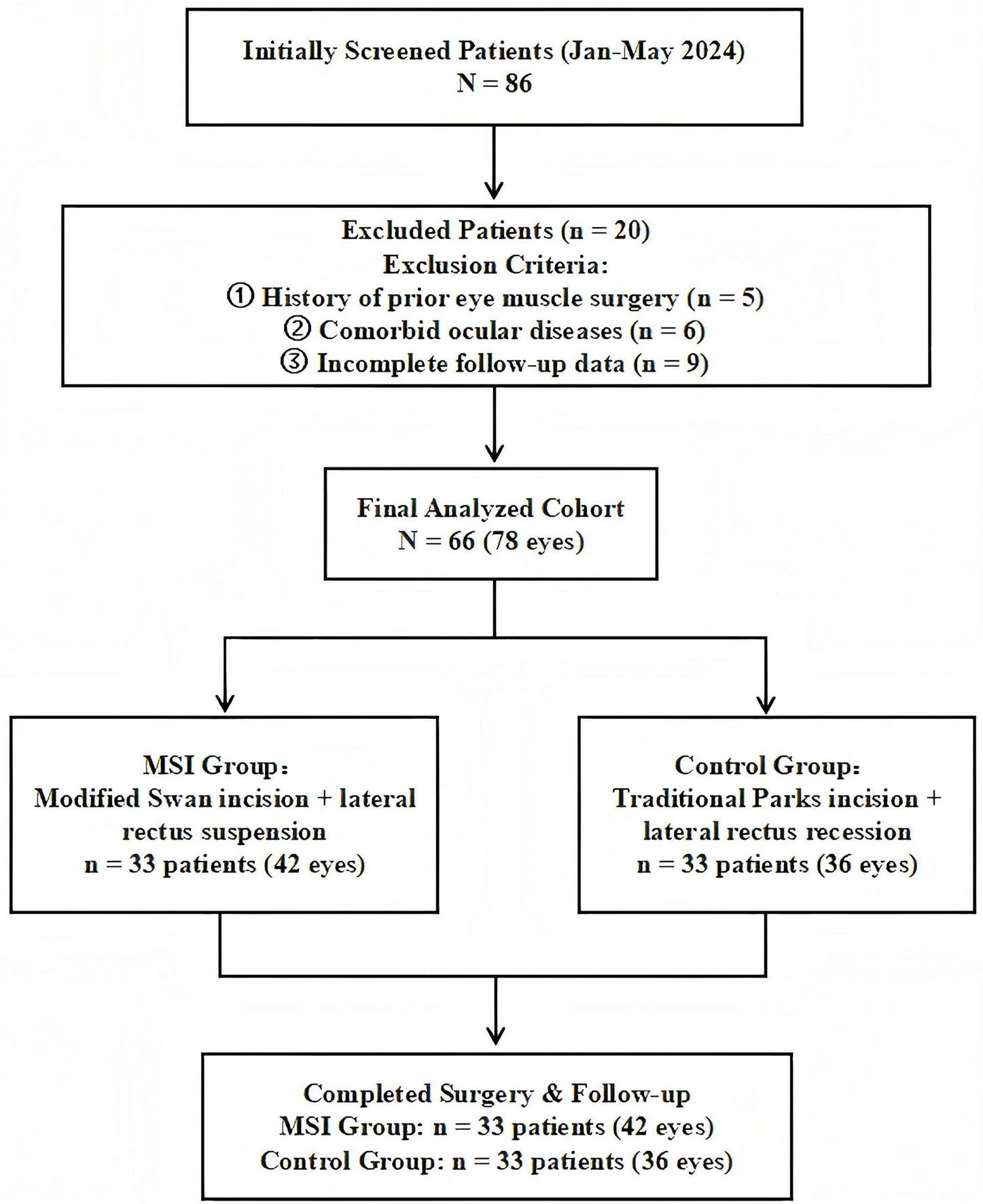 Flowchart depicting patient screening and analysis pipeline from January to May 2024. Initially, 86 patients were screened; 20 were excluded for prior eye muscle surgery (5), comorbid ocular diseases (6), and incomplete follow-up data (9). A total of 66 patients (78 eyes) were analyzed. They were divided into two groups of 33 patients each: the MSI Group underwent modified Swan incision and lateral rectus suspension, while the Control Group underwent traditional Parks incision and lateral rectus recession. Surgery and follow-up were completed for all patients.