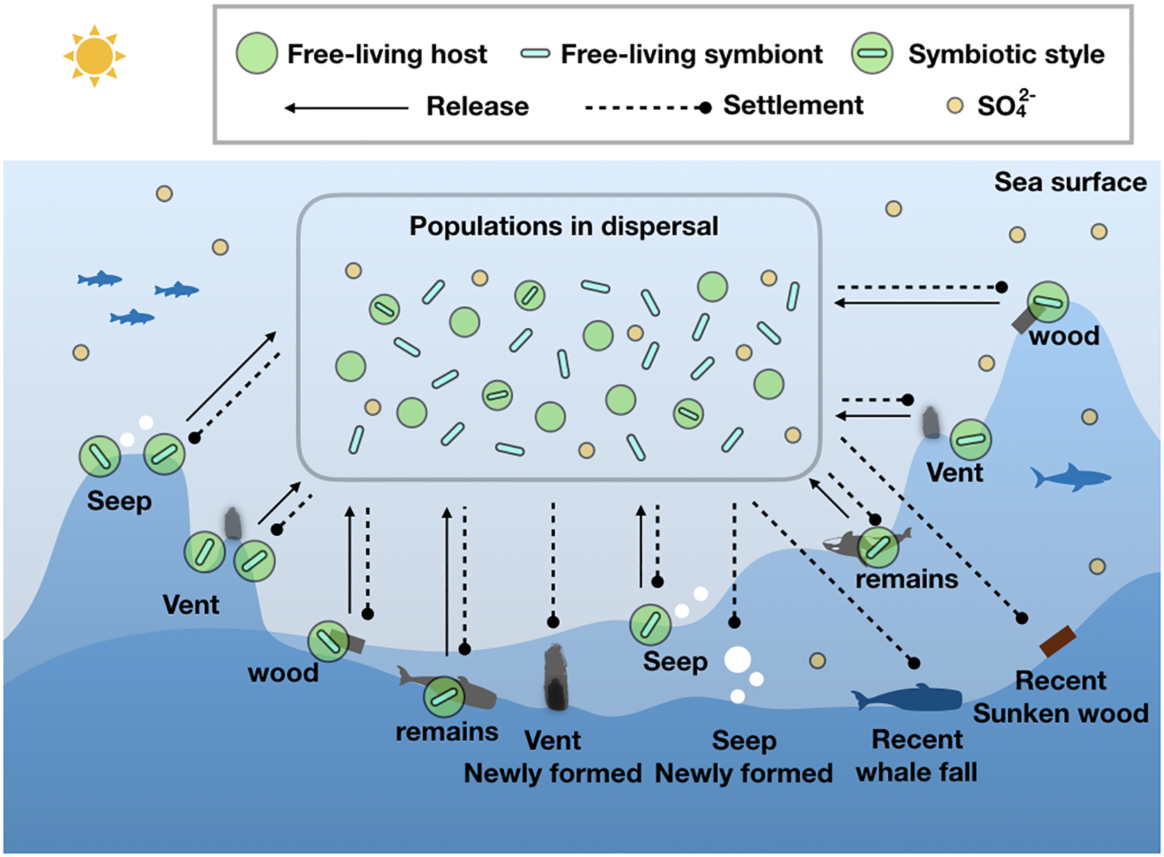 Diagram depicting the dispersal and settlement of symbiotic organisms in marine environments, including vents, seeps, whale falls, and sunken wood. Symbols represent free-living hosts, symbionts, symbiotic styles, and sulfate ions. Arrows indicate release and settlement processes, showing movement between various marine locations.