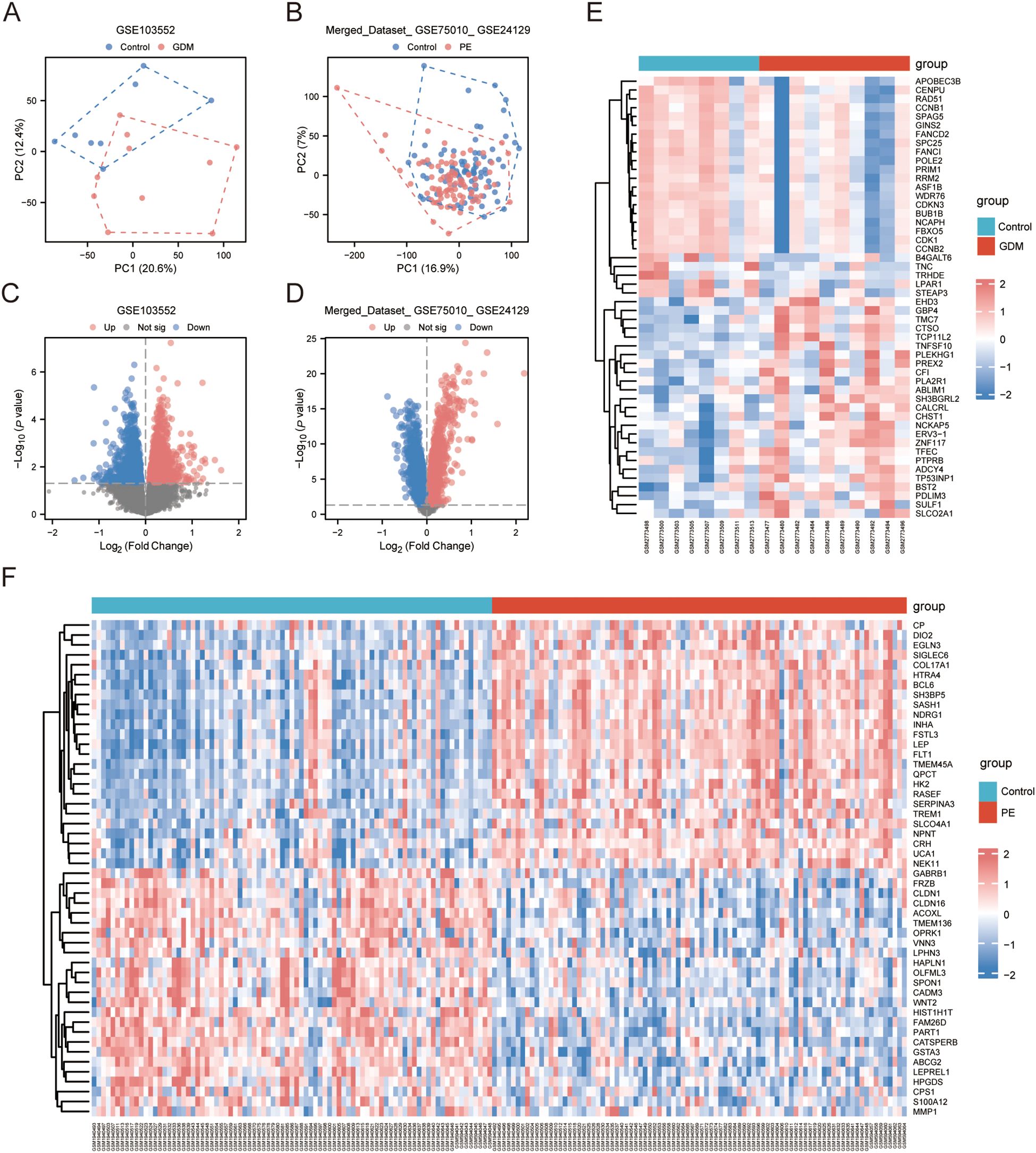 Panel of scientific graphs and heatmaps analyzing gene expression data. Panels A and B display PCA plots for GSE103552 and a merged dataset, differentiating control, GDM, and PE groups. Panels C and D show volcano plots indicating gene expression changes, with red and blue dots for upregulated and downregulated genes, respectively. Panels E and F present heatmaps with hierarchical clustering, showing varying expression levels across samples in shades of red and blue. Group labels are marked, with control, GDM, and PE distinguished by color bars.