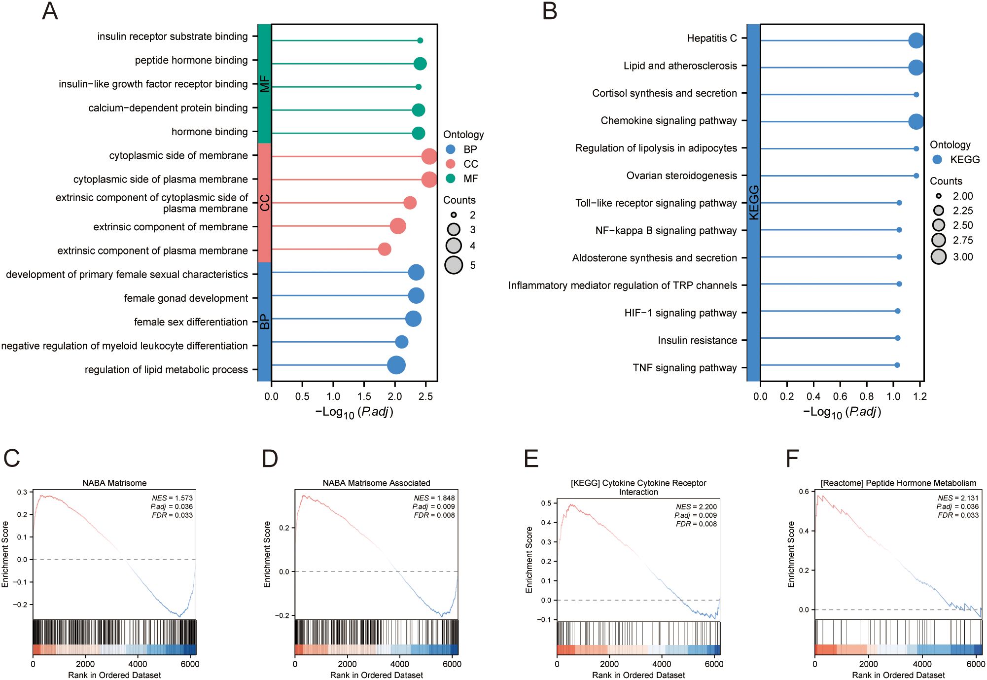 Grouped graphs displaying gene ontology and pathway analysis. A: Bar graph showing ontology terms in molecular functions (MF), cellular components (CC), and biological processes (BP) with dot size indicating counts. B: Bar graph of KEGG pathways, dot size showing counts. C-F: Enrichment plots for various pathways with enrichment scores, p-adjusted, and false discovery rates (FDR). Each plot has a rank-ordered dataset indicating enrichment scores across ranks.