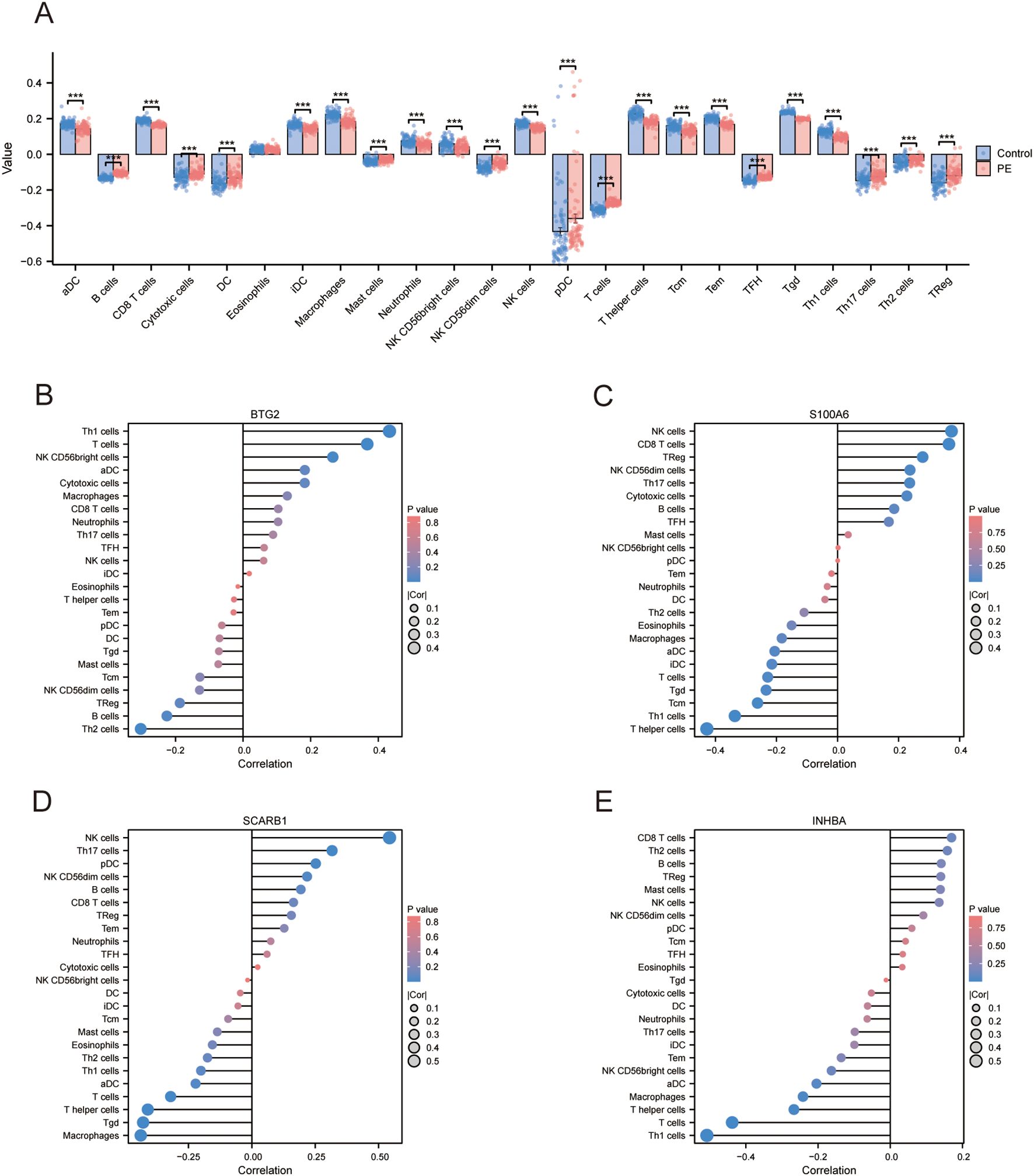 Panel A shows a box plot comparing cell type values between control and PE groups, with significant differences marked by asterisks. Panels B to E present correlation plots for genes BTG2, S100A6, SCARB1, and INHBA, respectively. Each plot depicts cell type correlations with color gradients indicating p-values and circle sizes representing correlation coefficients.