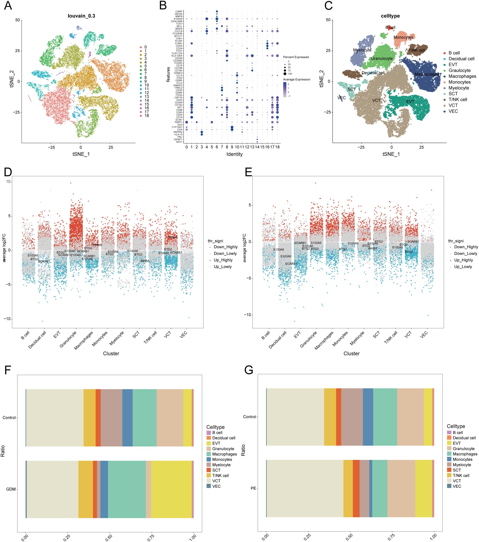 Group of scientific data visualizations including: A. A t-SNE plot with clusters colored by louvain_0.3 values ranging from 0 to 16. B. Dot plot showing gene expression levels across different identities, with size indicating percent expressed and color indicating average expression. C. A t-SNE plot illustrating various cell types such as B cells, monocytes, and macrophages. D and E. Scatter plots comparing log2 fold change for different clusters, with highlighted genes signifying significant up or down regulation. F and G. Bar plots depicting cell type ratios in control versus GDM and control versus PE groups.