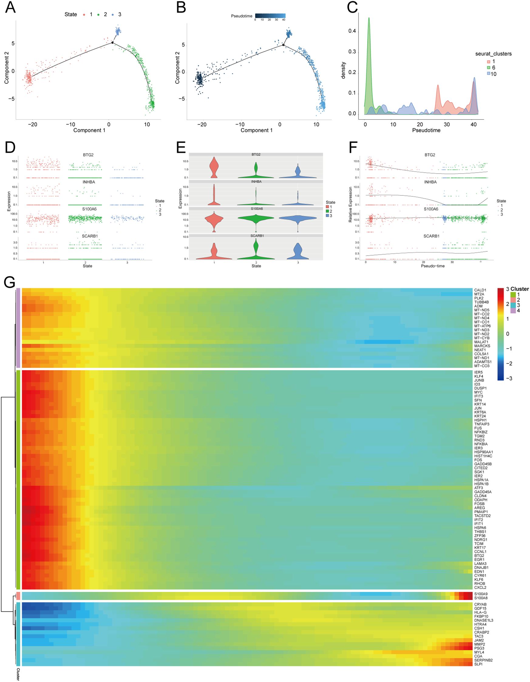A complex composite of seven panels depicting data visualizations, including trajectory plots (A and B) showing clustering and pseudotime, a density plot (C) indicating clusters over pseudotime, scatter plots (D) showing gene expression across states, violin plots (E) illustrating distribution of gene expressions, a line plot (F) displaying pseudotime against relative expression, and a heatmap (G) representing gene expression clusters and their intensities, with a color gradient from blue to red.