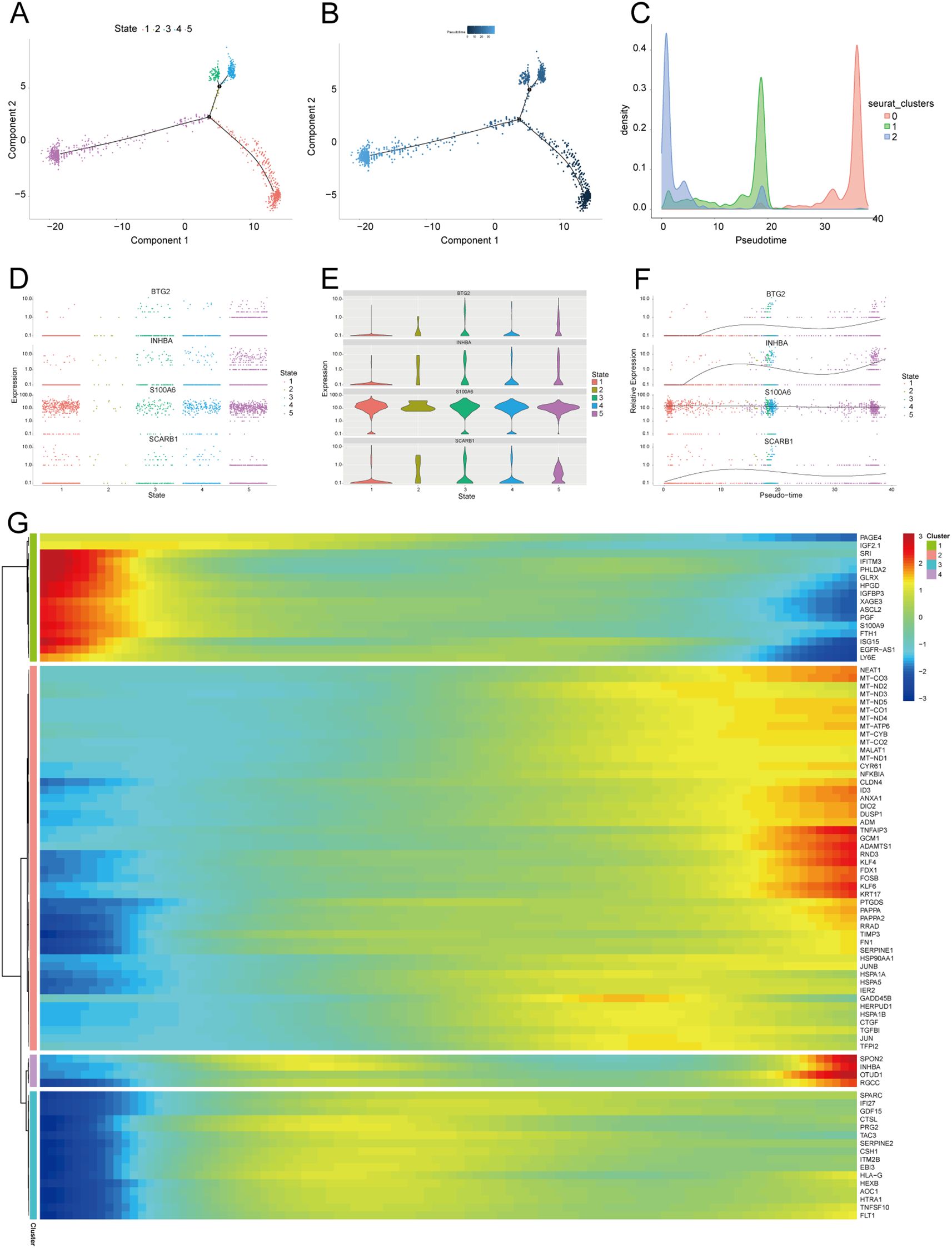 Panel A and B show scatter plots depicting components of data with visible clusters. Panel C presents density plots over pseudotime with multiple seurat clusters. Panel D illustrates gene expression across states. Panel E consists of violin plots of expression versus state. Panel F shows gene expression over pseudotime. Panel G is a heatmap of gene expression across different clusters, highlighting changes in color intensity.