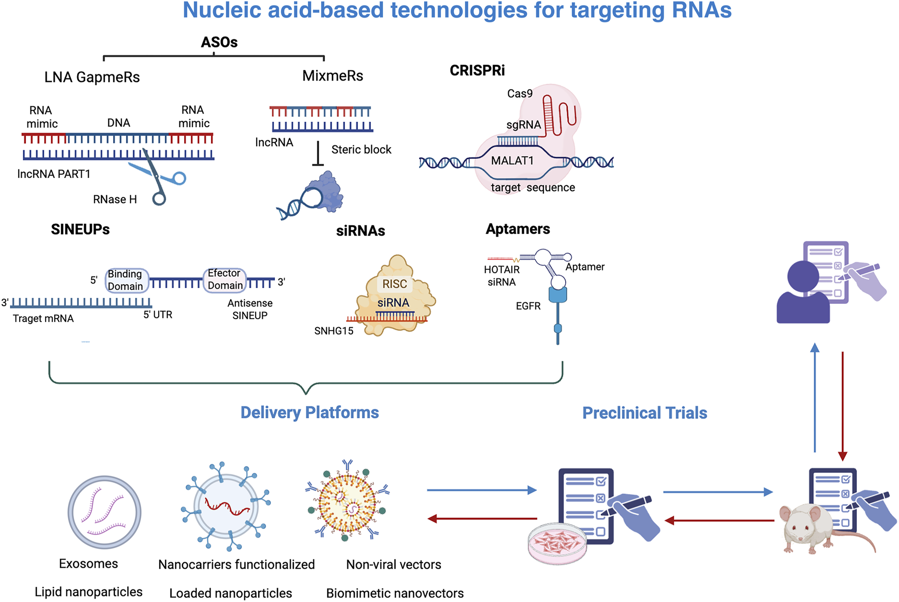 Illustration of nucleic acid-based technologies for targeting RNAs. It includes ASOs like LNA GapmeRs and MixmeRs, CRISPRi, SINEUPs, siRNAs, and Aptamers. Delivery platforms are shown, such as exosomes, functionalized nanocarriers, and non-viral vectors. Preclinical trials process is depicted with icons representing lab procedures, checklists, and a mouse model.