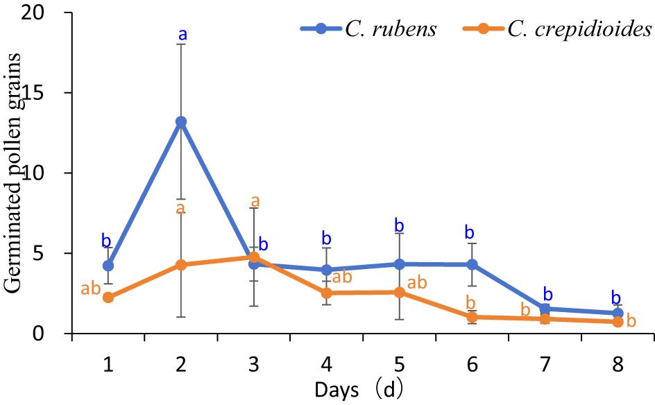 Line graph showing the number of germinated pollen grains over eight days for C. rubens and C. crepidioides. The y-axis represents germinated pollen grains from 0 to 20, and the x-axis marks days 1 to 8. C. rubens (blue line) peaks sharply on day 2, then declines gradually. C. crepidioides (orange line) shows lower, steadier germination with a slight peak on day 3. Error bars indicate standard deviation, and different letters above points denote statistically significant differences.