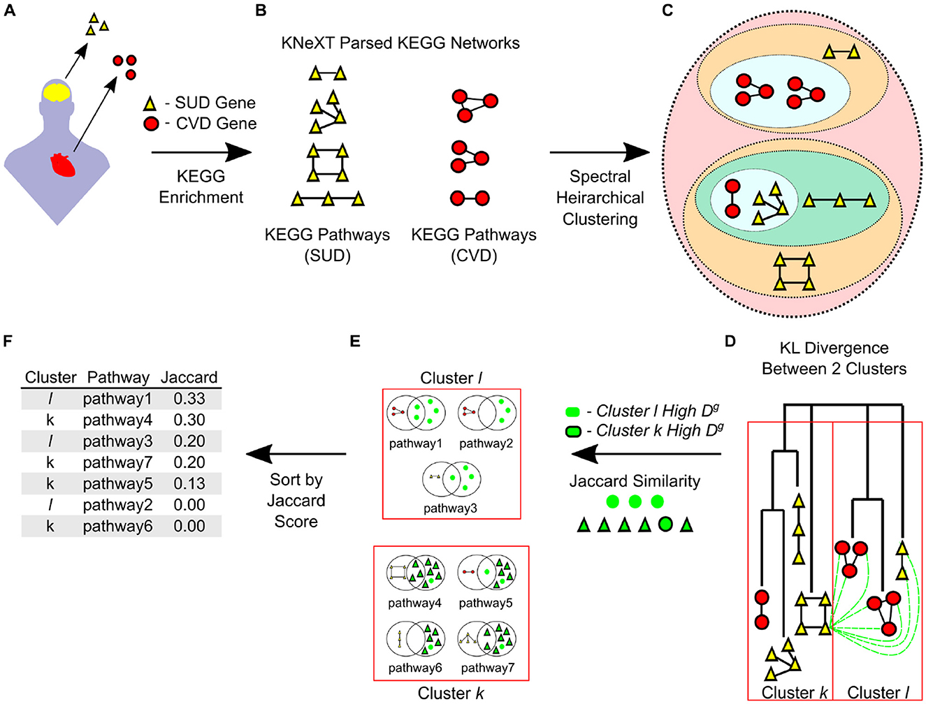 Diagram illustrating a bioinformatics workflow. Section A shows KEGG enrichment with triangles for SUD genes and circles for CVD genes. Section B presents parsed KEGG networks leading to pathways. Section C uses spectral hierarchical clustering. Section D depicts KL divergence between clusters. Section E illustrates clusters and Jaccard similarity. Section F lists pathways and Jaccard scores, sorted by the score.