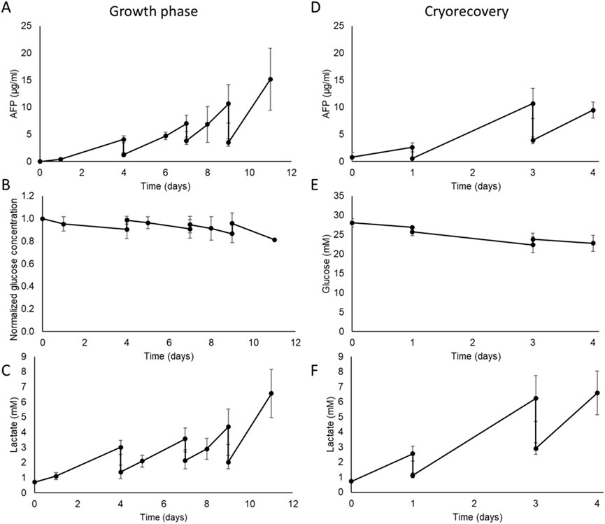 Six line graphs show growth and post-thaw phases. Growth phase graphs display changes in AFP, normalized glucose, and lactate over 12 days. AFP and lactate increase, while glucose decreases. Post-thaw graphs show similar metrics over 4 days, with AFP and lactate rising, and glucose decreasing. Error bars represent variance.
