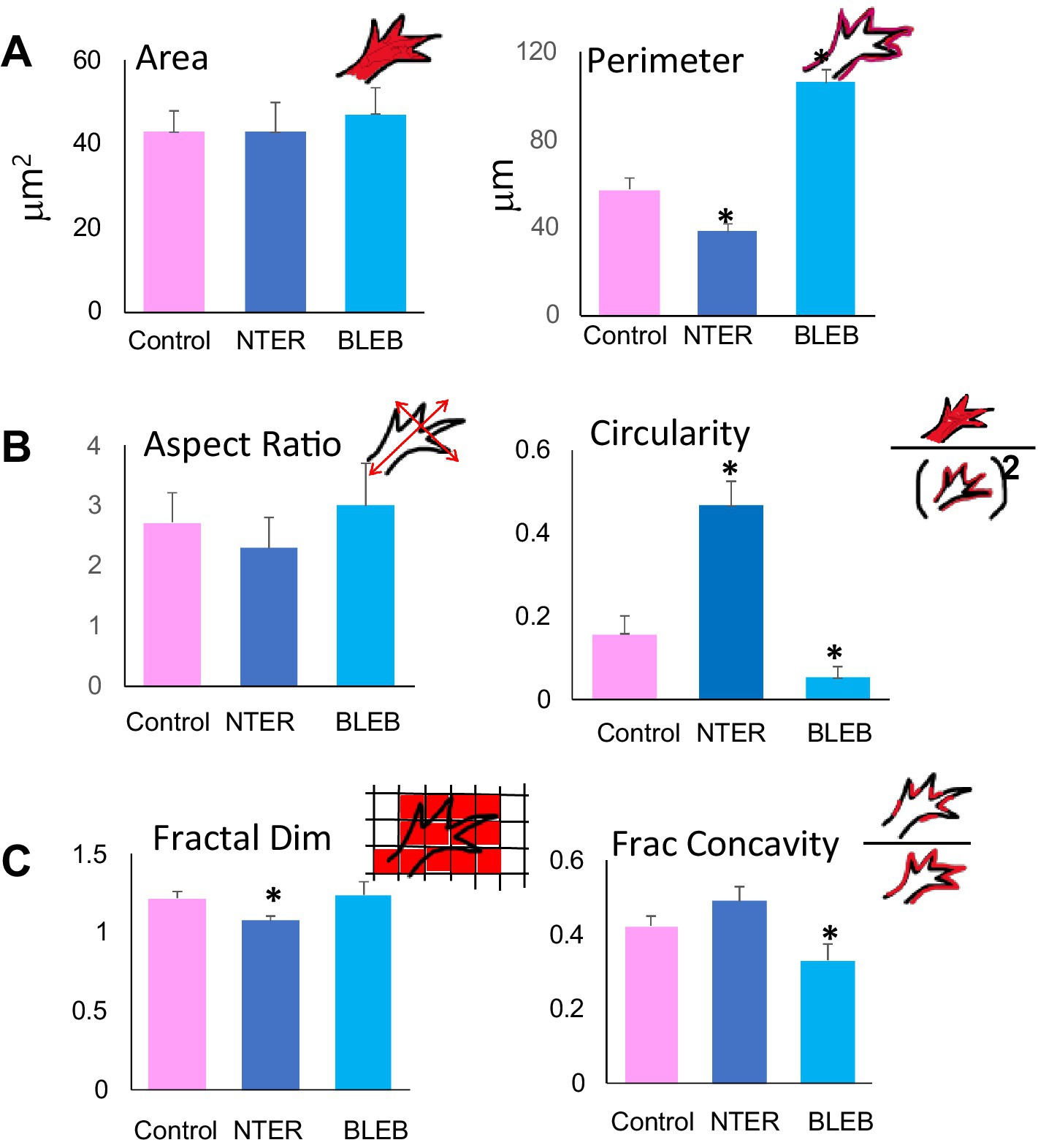 Bar graphs labeled A, B, and C compare various shape metrics across Control, NTER, and BLEB groups. Panel A shows Area and Perimeter. Panel B displays Aspect Ratio and Circularity, with NTER having the highest circularity. Panel C illustrates Fractal Dimension and Fractal Concavity, with a notable reduction in concavity in the BLEB group. Decorative red illustrations and symbols accompany each graph.
