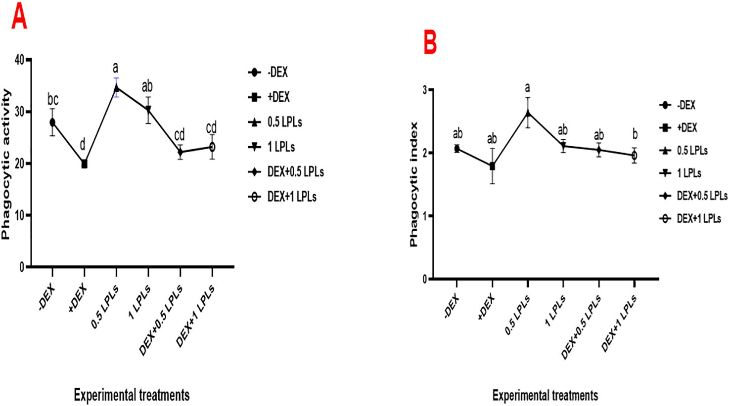 Two line graphs depict phagocytic activity and phagocytic index across different treatments: -DEX, +DEX, 0.5 LPLs, 1 LPLs, DEX+0.5 LPLs, and DEX+1 LPLs. The first graph shows phagocytic activity peaking at 1 LPLs with a decrease for other treatments. The second graph presents a similar trend for phagocytic index, also peaking at 1 LPLs. Statistical significance is indicated by letters.