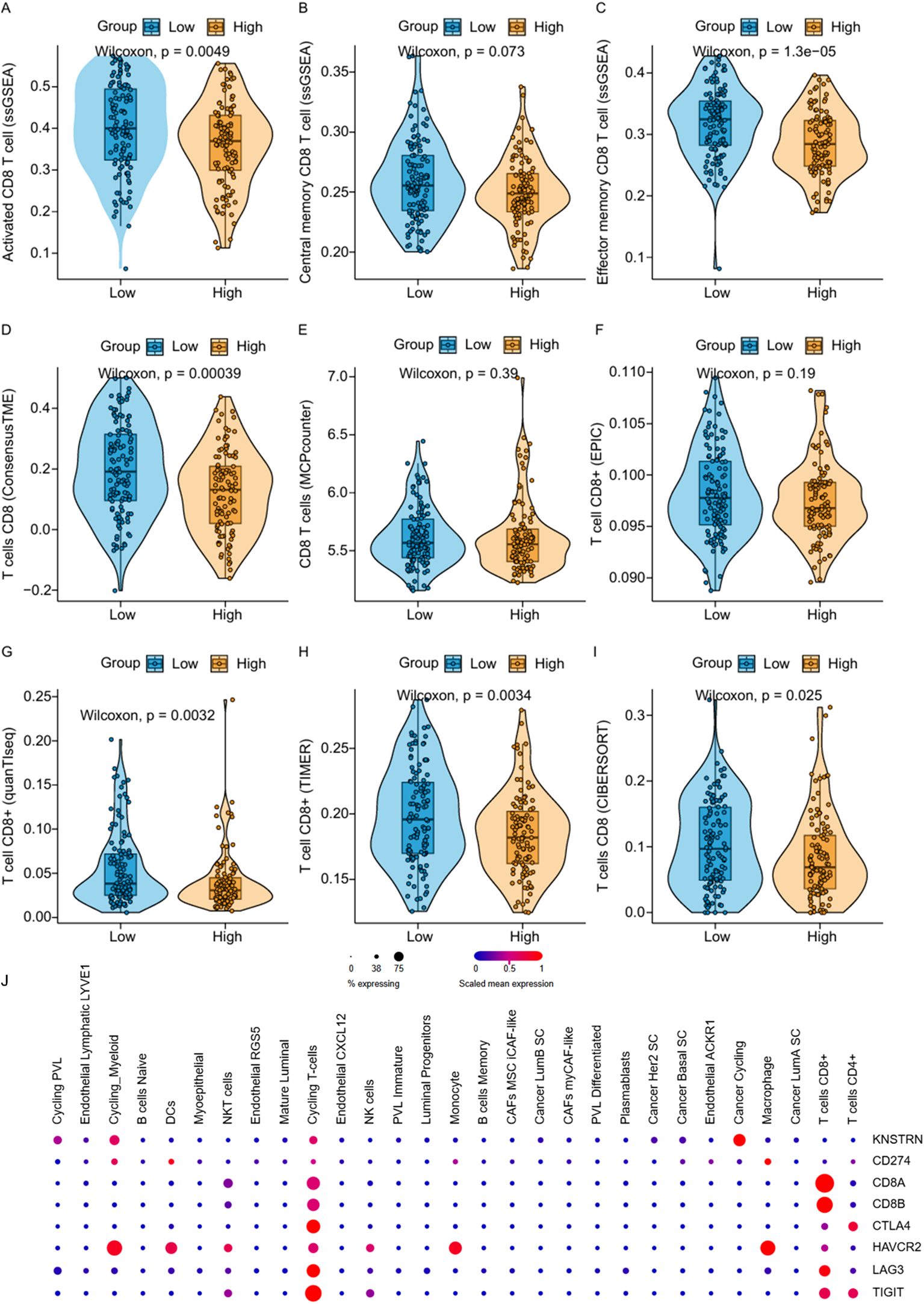 Nine-panel image with violin plots and a dot plot. Panels A-I present violin plots comparing “Low” and “High” groups for CD8 T cell subtypes across different methods (SSGSEA, ConsensusTME, MCPcounter, EPIC, quanTIseq, TIMER, CIBERSORT). P-values from Wilcoxon tests indicate statistical significance. Panel J shows a dot plot with expression levels of various genes and cell types, using color and size to convey scaled mean expression and percentage expressing.