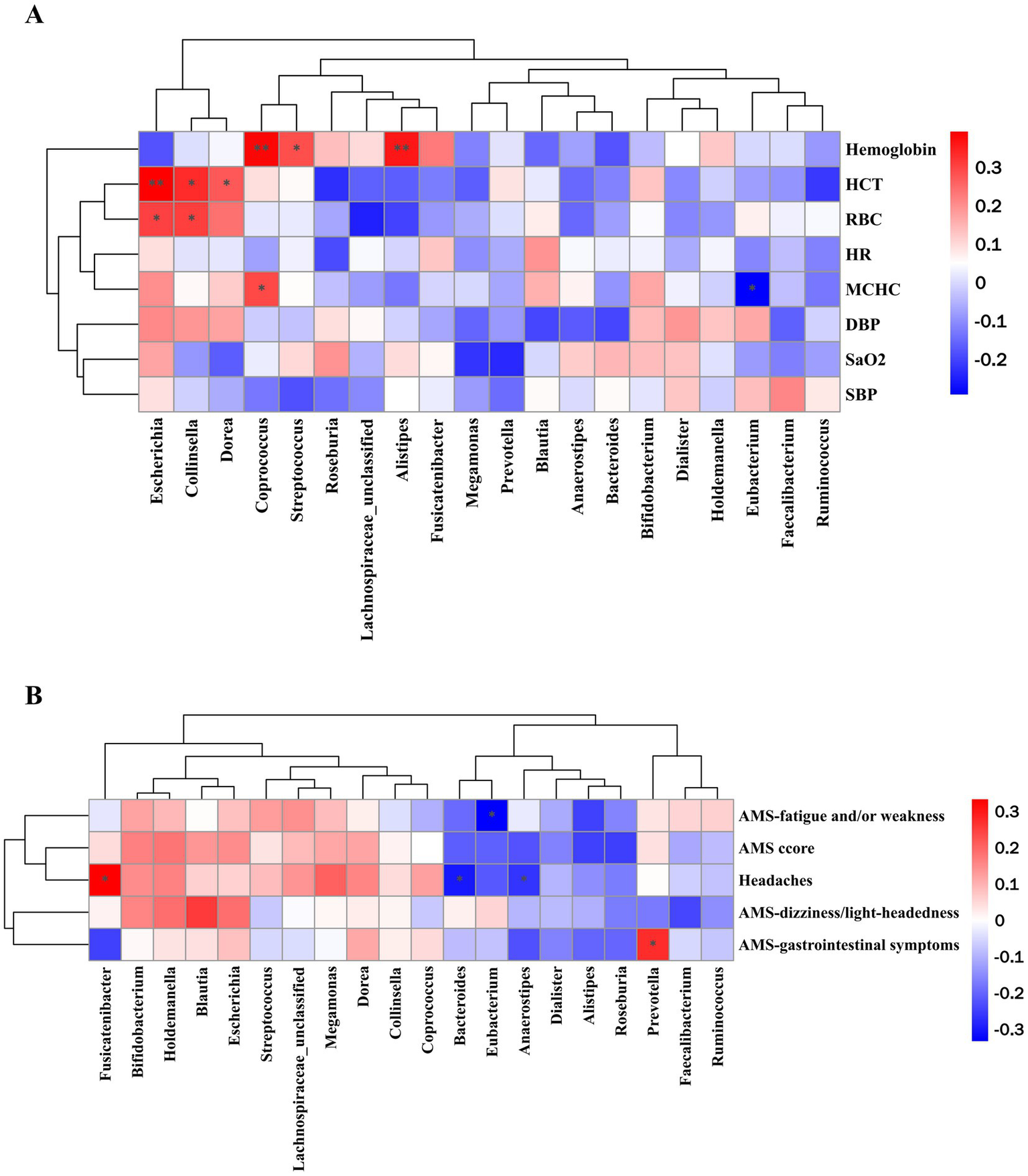 Clustered heatmap illustrating correlations between various bacteria and health parameters. Panel A shows correlations with hemoglobin, HCT, RBC, HR, MCHC, DBP, SaO2, and SBP. Panel B displays correlations with AMS-related symptoms, including fatigue, core symptoms, headaches, dizziness/light-headedness, and gastrointestinal symptoms. Red indicates positive correlation, blue indicates negative correlation, with color intensity denoting strength. Each bacterial type is labeled on the x-axis, while health parameters are on the y-axis. Stars denote statistically significant correlations.