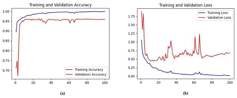 Two line graphs showing training and validation performance over 100 epochs. (a) Accuracy plot: training accuracy (blue) steadily rises and plateaus near 1.0, while validation accuracy (red) fluctuates around 0.95. (b) Loss plot: training loss (blue) decreases consistently, whereas validation loss (red) shows high variance and multiple spikes, indicating potential overfitting.