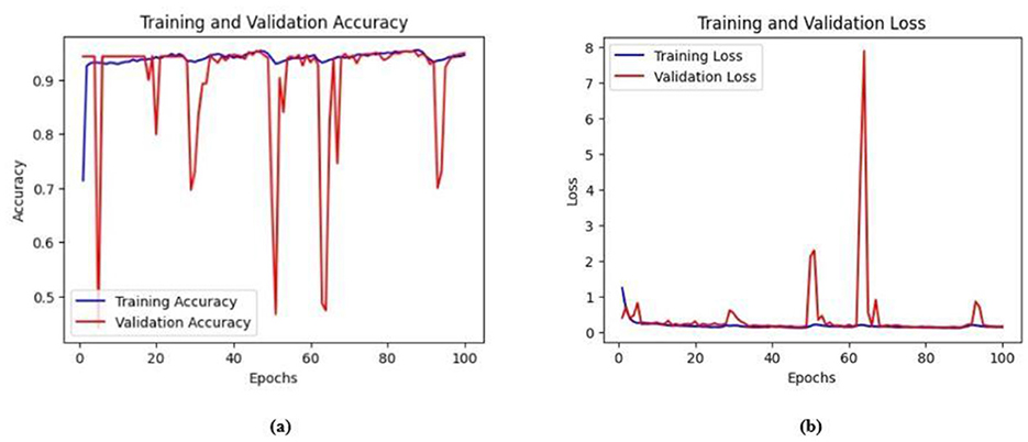Two plots showing training and validation performance over 100 epochs. (a) Accuracy plot: training accuracy (blue) remains high and stable, while validation accuracy (red) fluctuates sharply, with multiple sudden drops. (b) Loss plot: training loss (blue) remains low, while validation loss (red) shows several sharp spikes, indicating instability and possible overfitting or data issues stays relatively constant around 1.0, indicating poor generalization and overfitting.