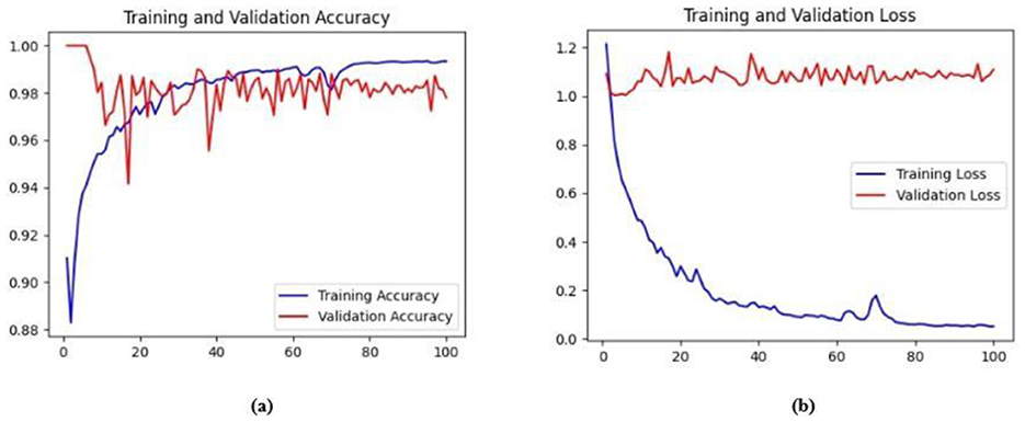 Two line charts showing model performance over 100 epochs. (a) Accuracy plot: training accuracy (blue) steadily improves and nears 1.0, while validation accuracy (red) rises early but fluctuates around 0.95. (b) Loss plot: training loss (blue) decreases gradually, whereas validation loss (red) drops initially but shows frequent spikes, indicating inconsistent validation performance and potential overfitting.