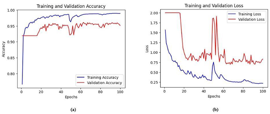 Two plots of model training performance across 100 epochs. (a) Accuracy plot: both training (blue) and validation (red) accuracy improve quickly and remain high, nearing 1.0. (b) Loss plot: training loss (blue) decreases steadily, while validation loss (red) exhibits extreme fluctuations and instability, suggesting poor generalization despite high accuracy.