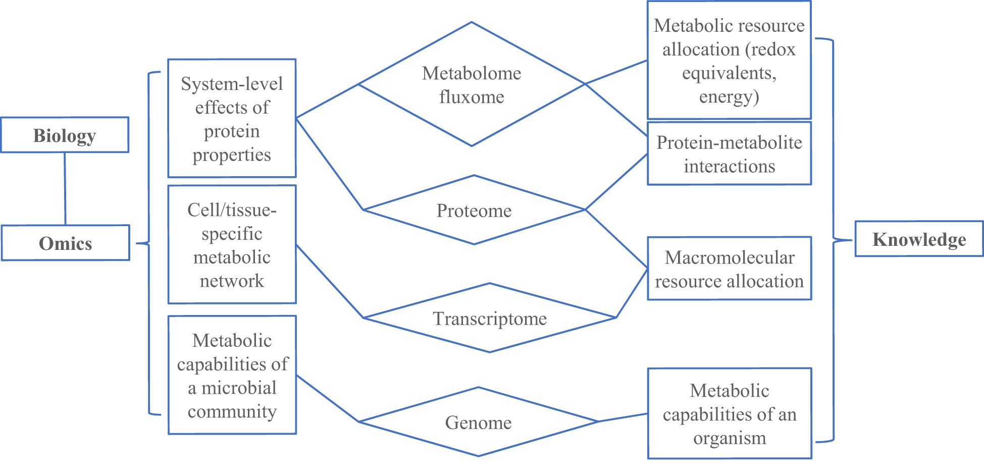 Flowchart illustrating the relationship between “Biology” and “Knowledge” through “Omics”. It shows how system-level effects, metabolic networks, and microbial capabilities relate to metabolome, proteome, transcriptome, and genome. These, in turn, connect to metabolic resource allocation, protein-metabolite interactions, macromolecular resource allocation, and organism capabilities, leading to knowledge.