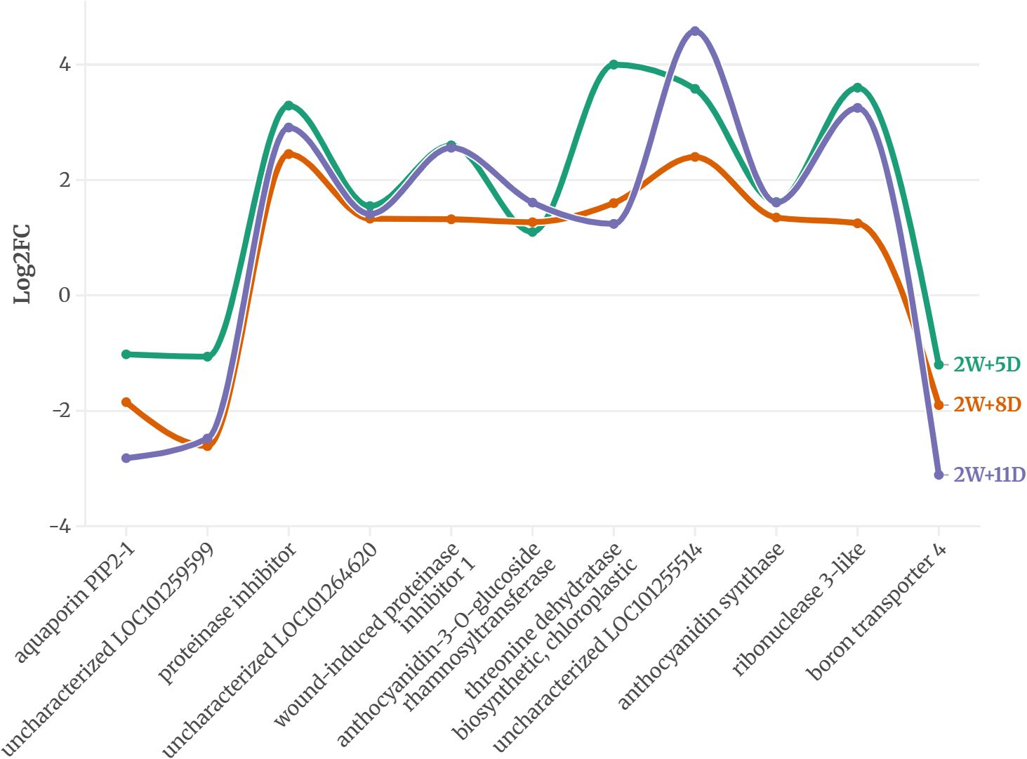 Line graph depicting Log2 Fold Change (Log2FC) of various genes over time. Green, orange, and purple lines represent time points 2 weeks + 5 days, 2 weeks + 8 days, and 2 weeks + 11 days, respectively. Gene names are listed on the x-axis, showing fluctuating expression levels.
