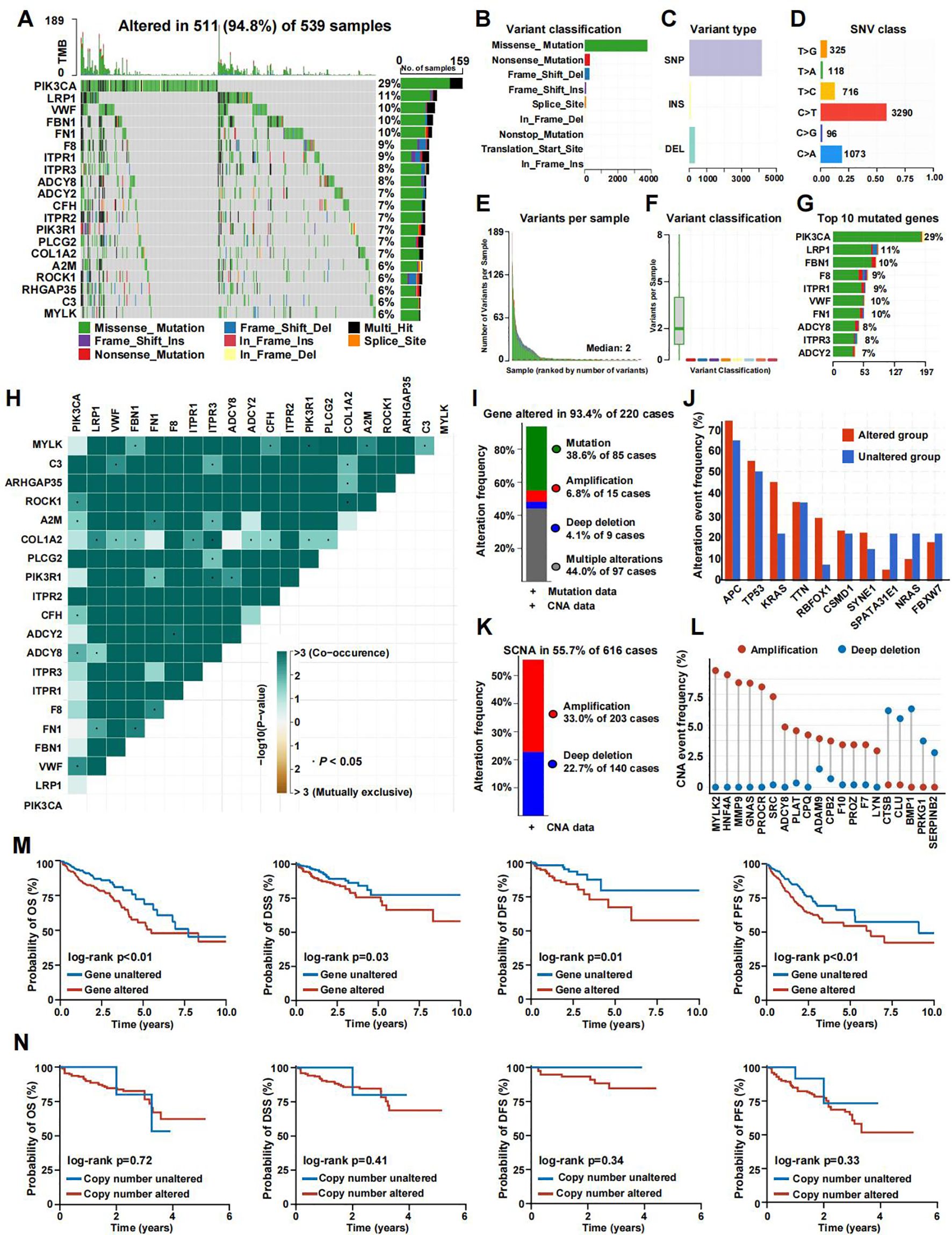 This image consists of multiple panels displaying genomic and survival data. Panel A shows a heatmap of mutations across 511 samples, identifying frequently mutated genes like PIK3CA. Panel B classifies variants, while Panel C depicts variant types, such as SNPs and insertions. Panel D provides SNV class frequencies. Panel E presents variant counts per sample, and Panel F categorizes variant classifications. Panel G lists the top ten mutated genes. Panel H is a co-occurrence matrix. Panel I shows gene alteration frequencies, and Panel J compares alteration frequencies between groups. Panel K displays SCNA data. Panel L illustrates CNA event frequencies. Panels M and N present survival curves related to gene and copy number alterations, respectively.