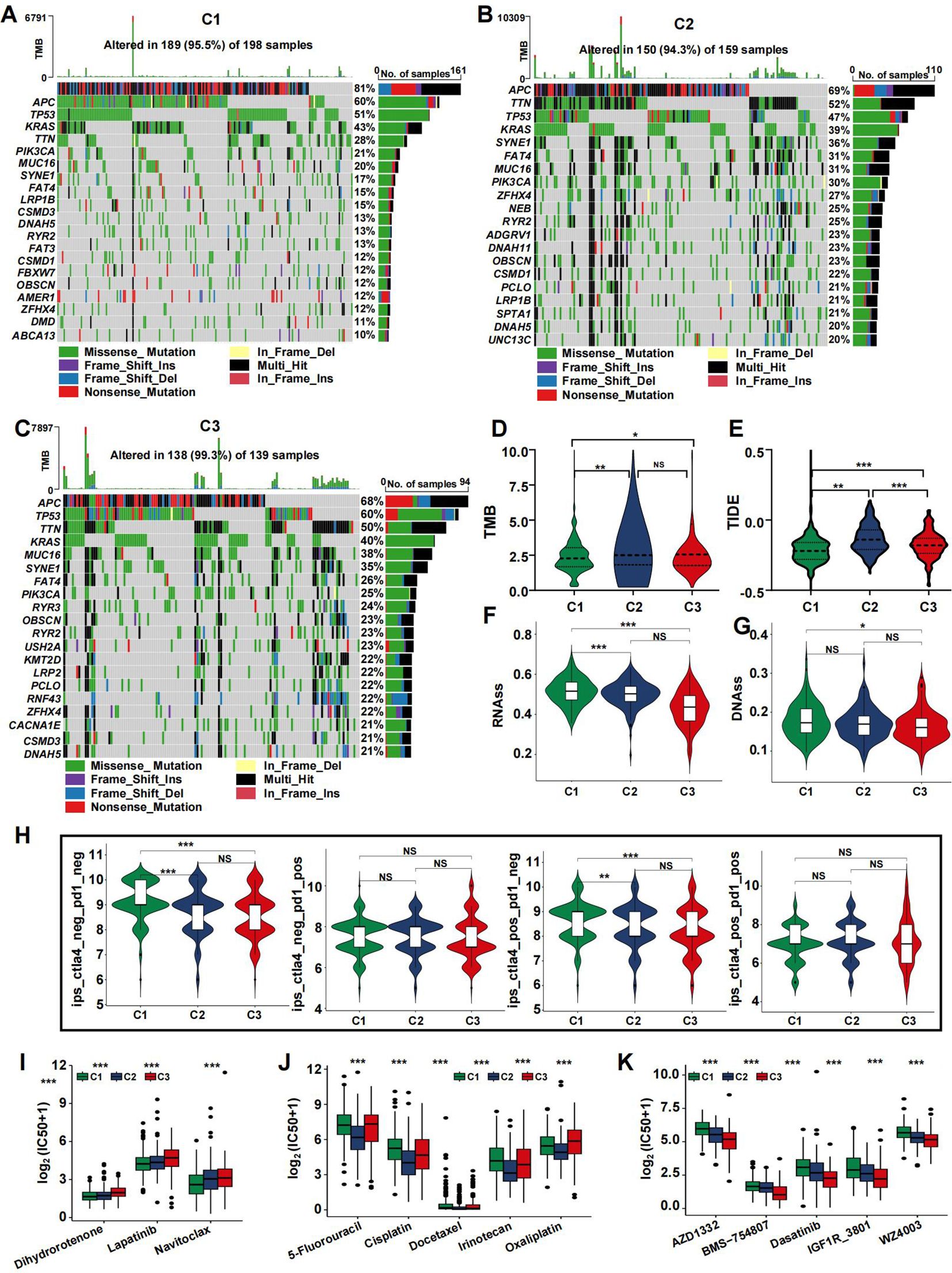 Composite image with various data visualizations. Panels A, B, and C display heatmaps of genetic alterations in samples, with annotations for mutation types. Panels D through H show violin plots comparing metrics like TMB, TIDE, RNAss, and DNAss across categories C1, C2, and C3. Panels I through K present box plots of drug responses across these categories. Statistical significance is indicated by asterisks.
