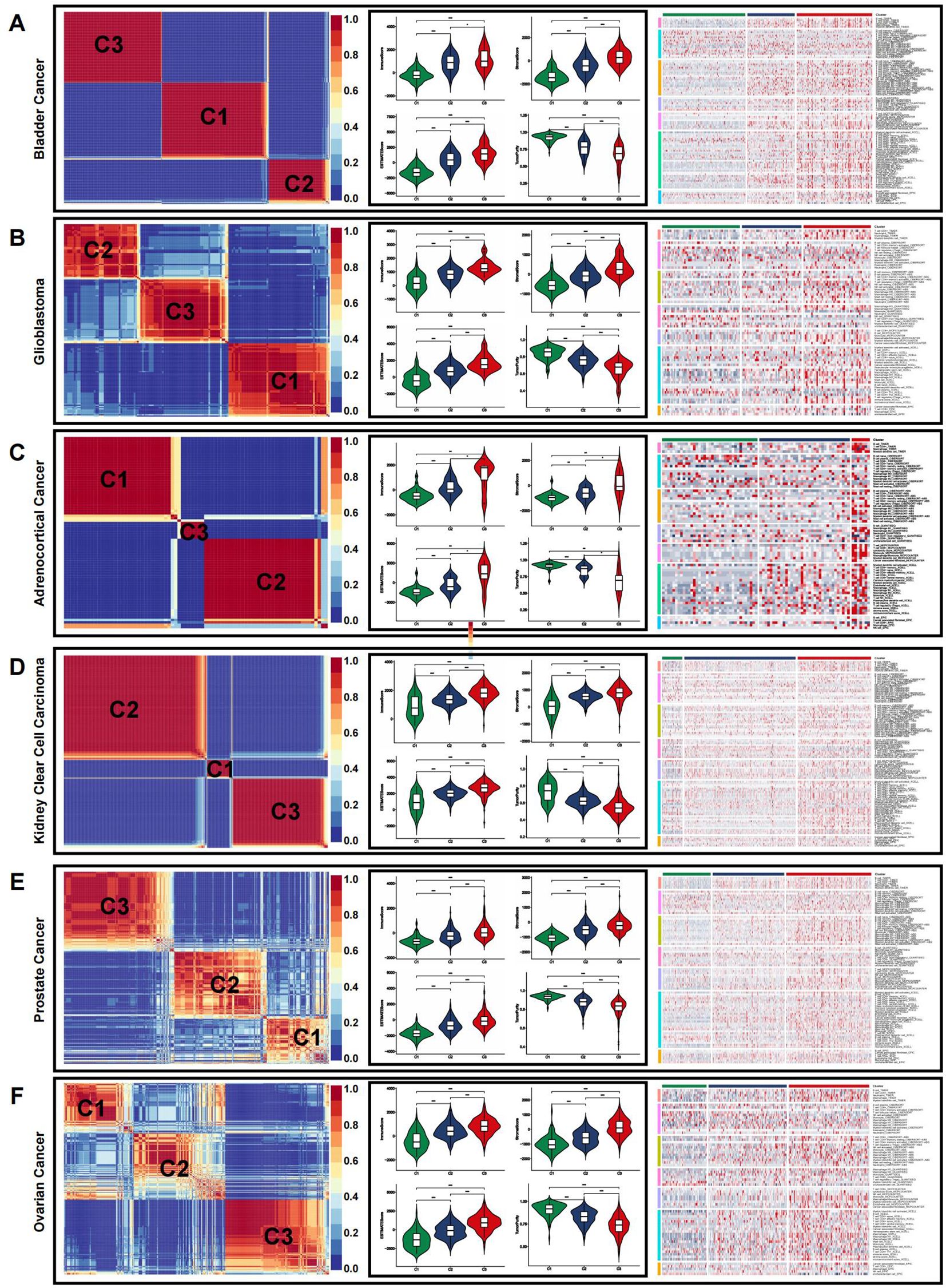 Heatmaps and violin plots for six types of cancer: bladder, glioblastoma, adrenocortical, kidney clear cell carcinoma, prostate, and ovarian. Each section shows a heatmap with labeled clusters (C1, C2, C3), violin plots comparing distributions, and a gene expression panel.