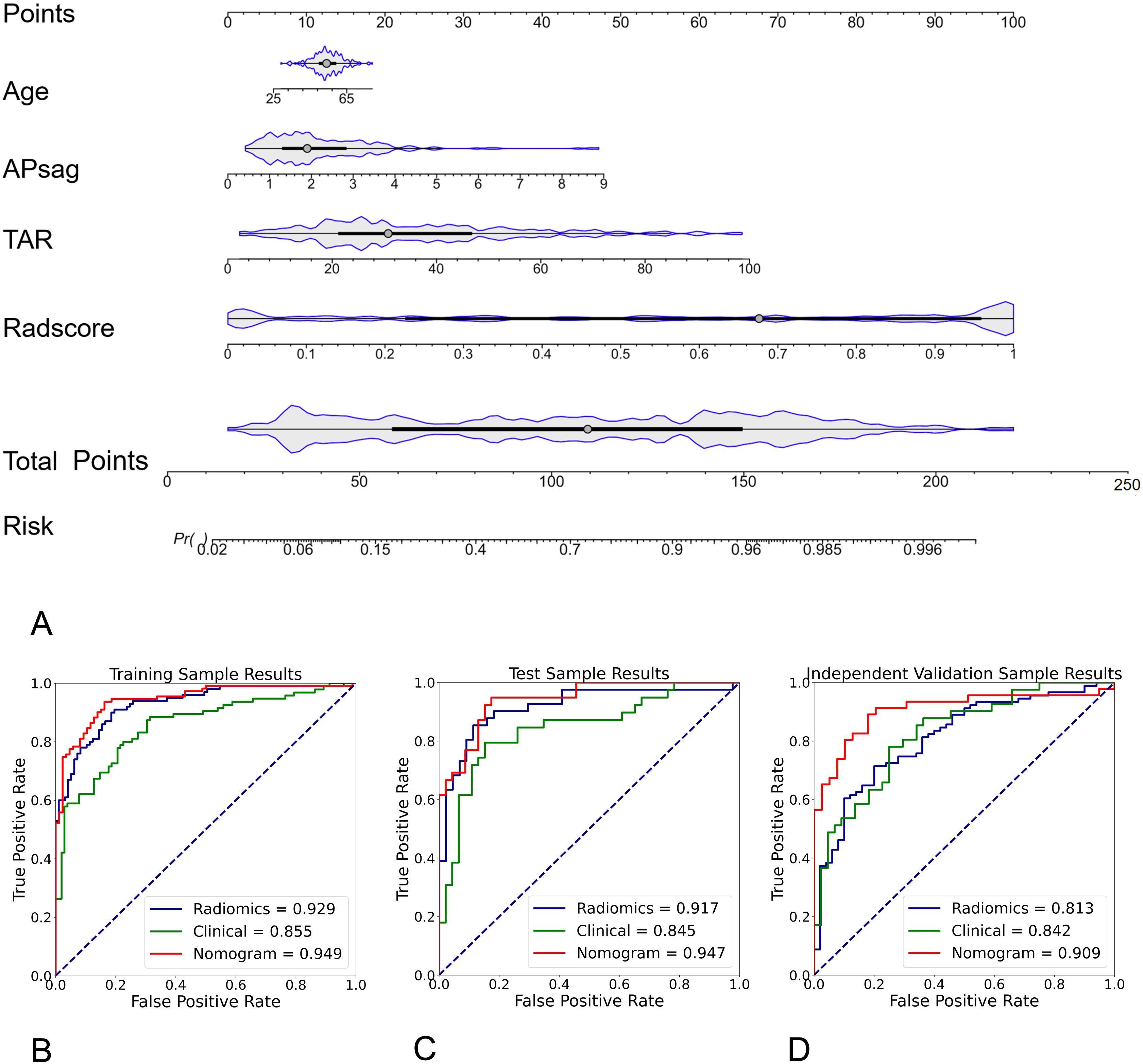 The image features two sections: a nominal diagram (A) and three ROC curves (B, C, D). Section A presents variables influencing risk: Age, APsag, TAR, Radscore, Total Points, and associated risk probability. Sections B, C, and D show ROC curves for radiomics, clinical, and nomogram models in different sample sets, with respective area under the curve (AUC) values indicating performance. The nomogram consistently exhibits higher AUC across training, test, and independent validation samples, suggesting superior predictive accuracy.